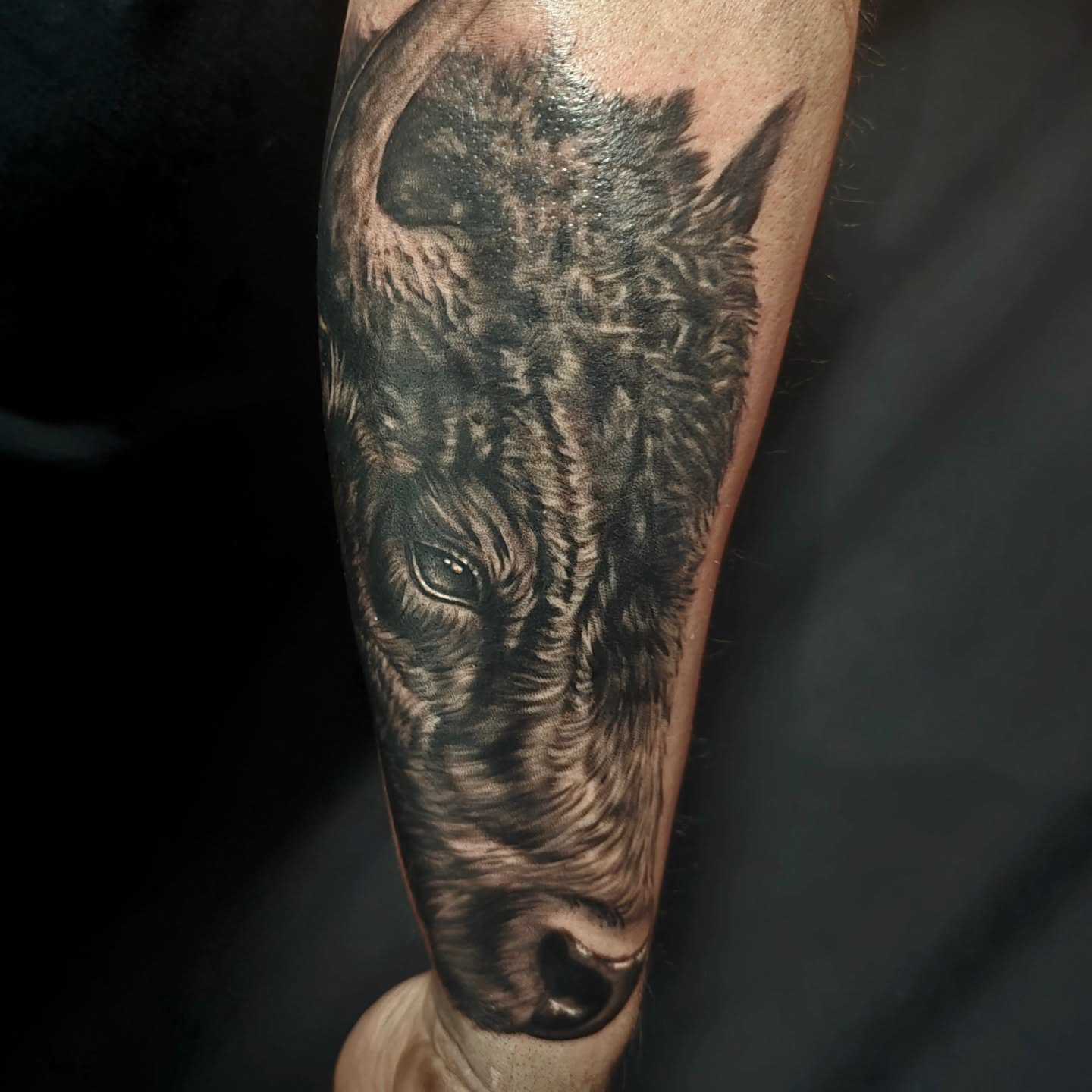 Boar realism tattoo on the forearm by Gabrielle Nicole Soucie