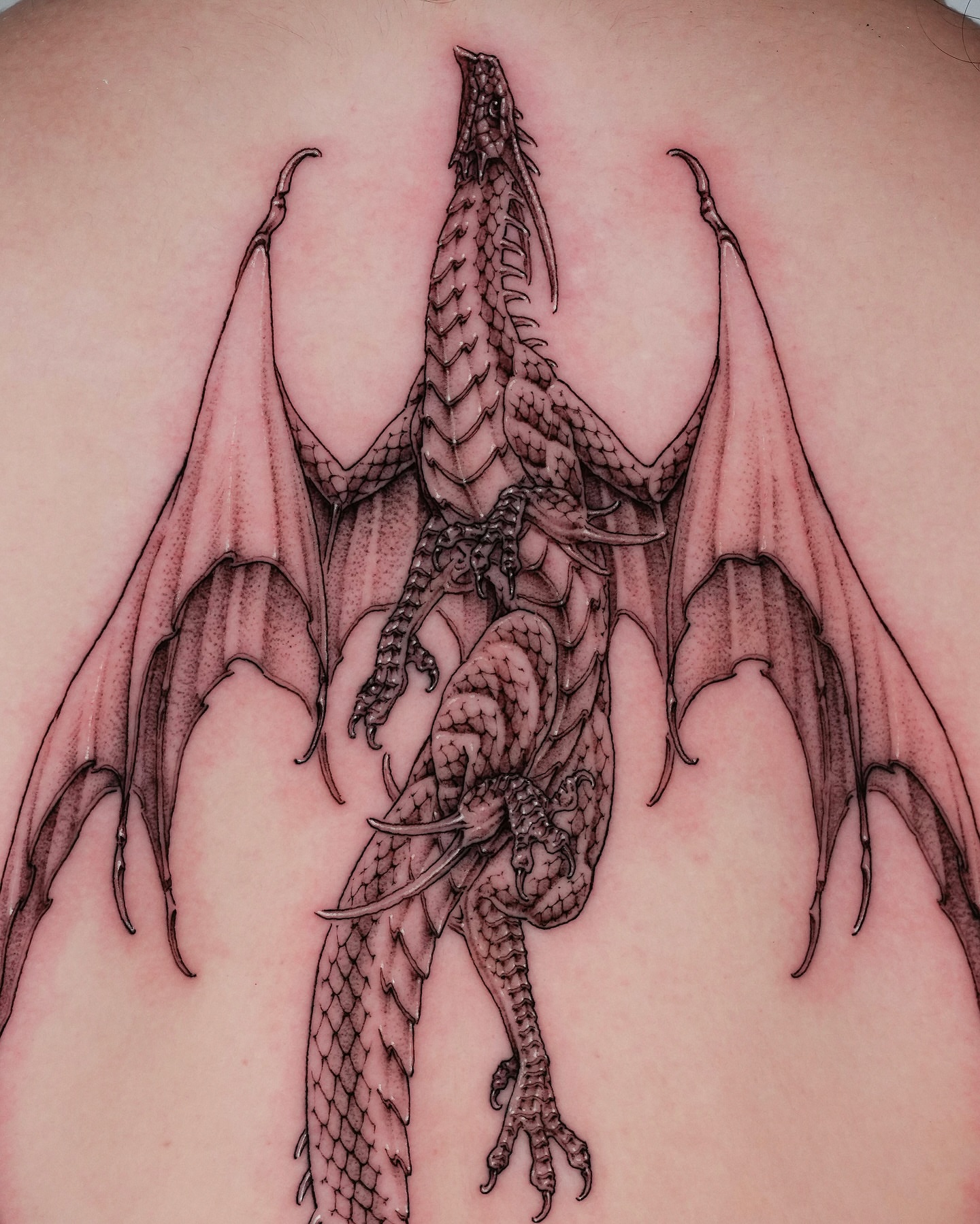 Dragon black and grey tattoo on the back by Intat