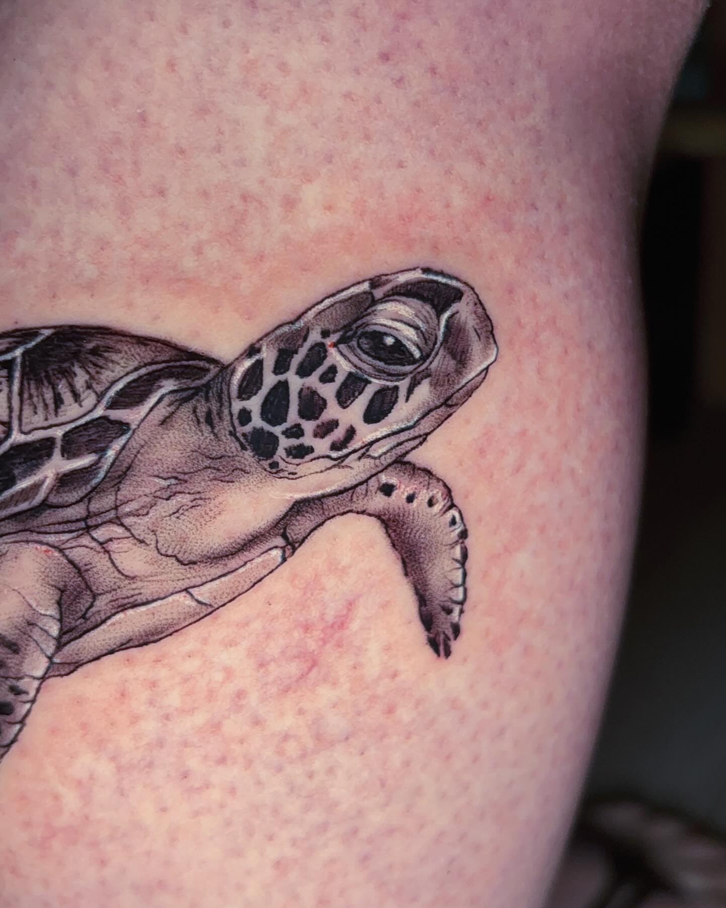 Tattoo by @kay_tatz — realism