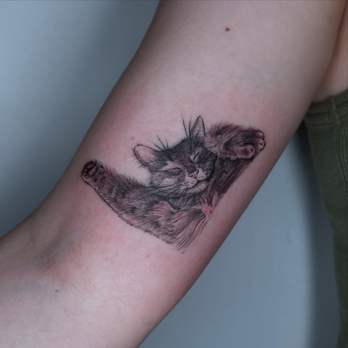 Sleeping cat realism tattoo on the forearm by Emily K Lingg
