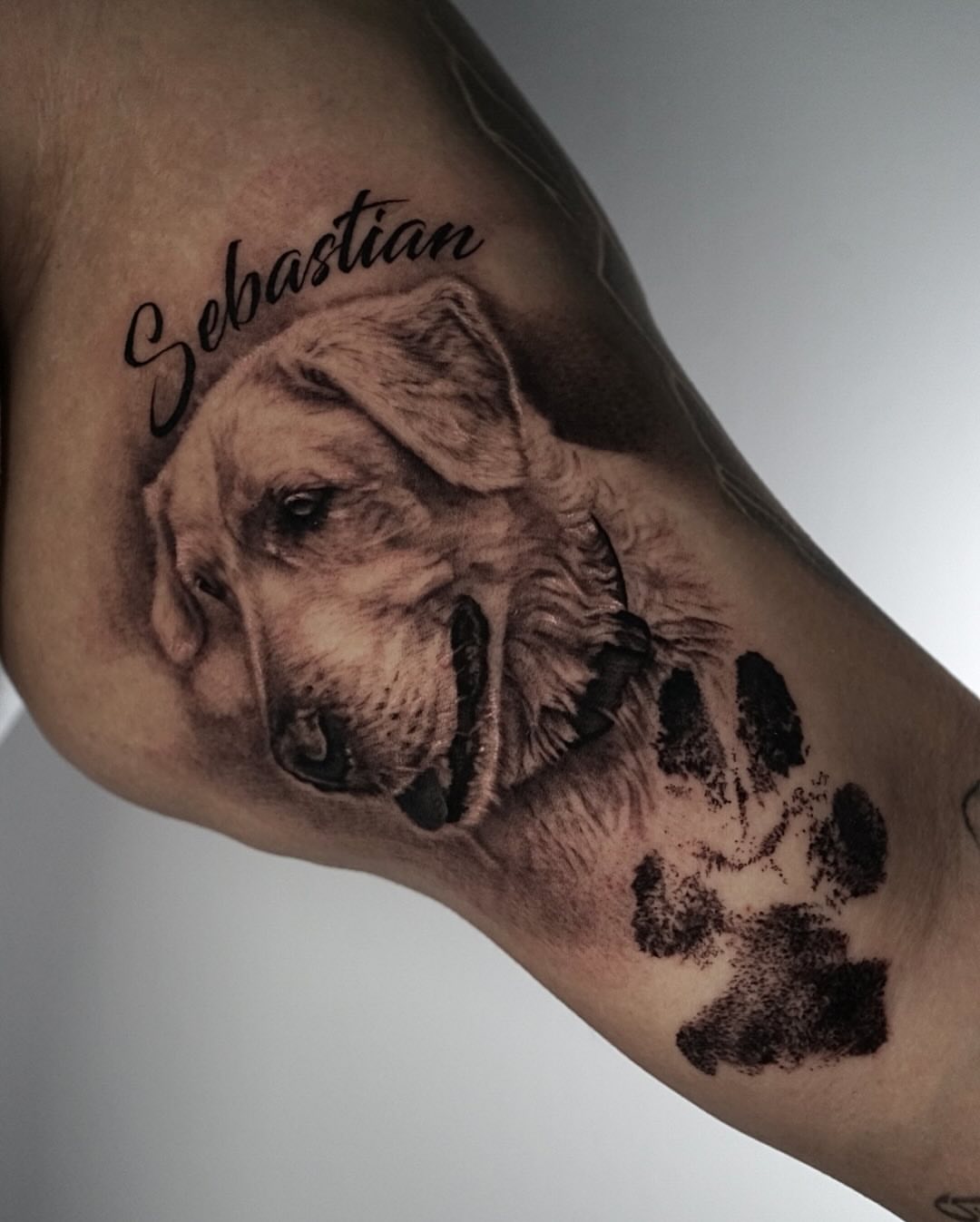 Dog portrait realism tattoo on the forearm by Sabrina Lakhaysy, Fort Worth, Texas