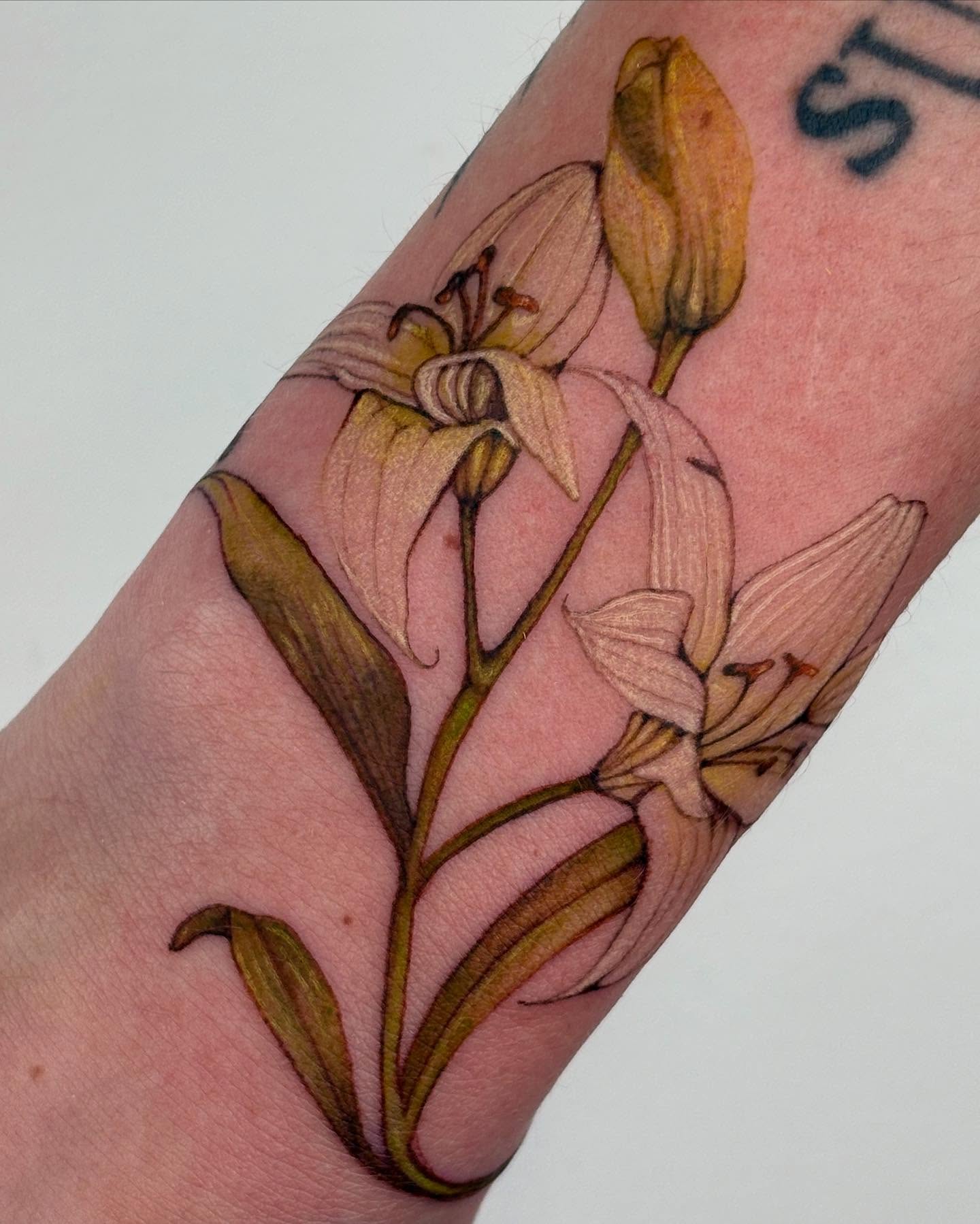 Lilies realism tattoo on the forearm by β±βΏβ° π π π° π πΎ β±βΏβ°
