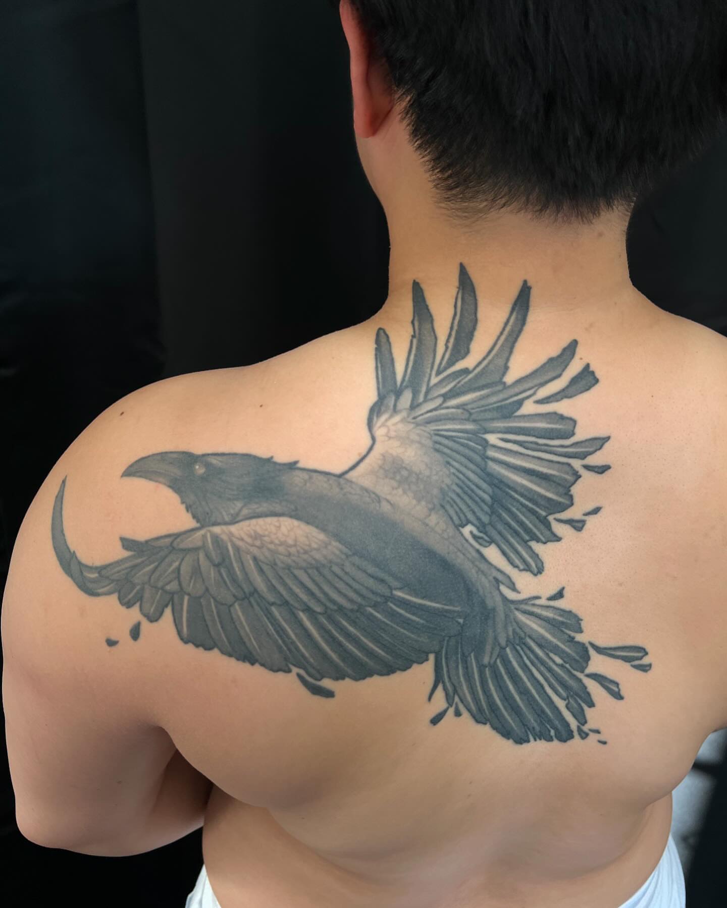 Raven black and grey tattoo on the back by San Diego Fineline Black & Grey Tattoo Artist