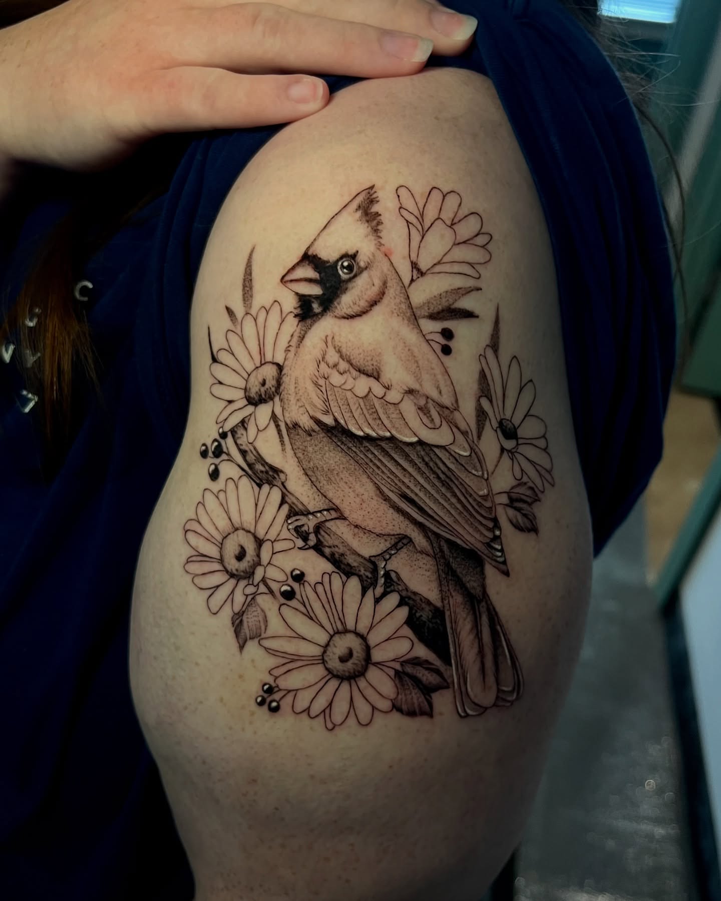 Cardinal bird and daisies dotwork tattoo on the shoulder by Jacob Sass