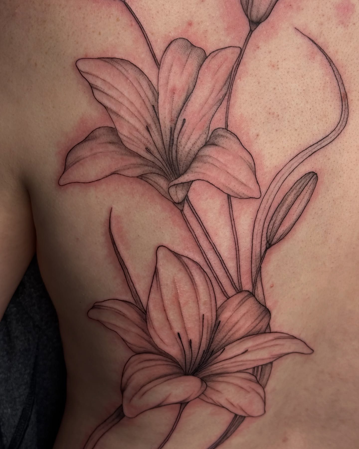 Lily black and grey tattoo on the chest by elena