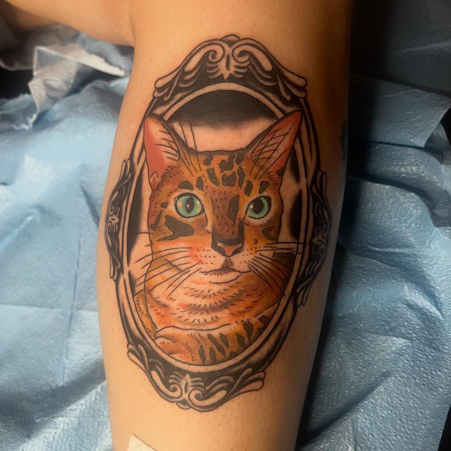Cat realism tattoo on the forearm by Mariah Nguyen