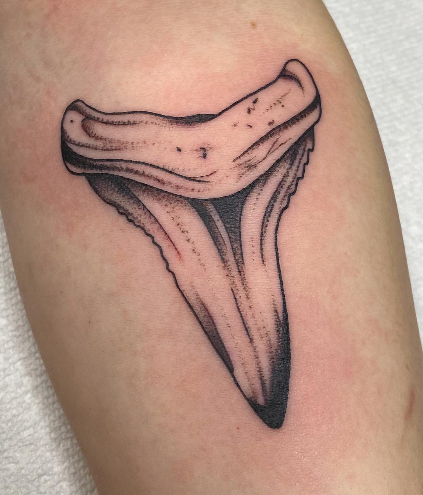 Shark tooth black and grey tattoo on the thigh by Kiera ❤️‍🔥