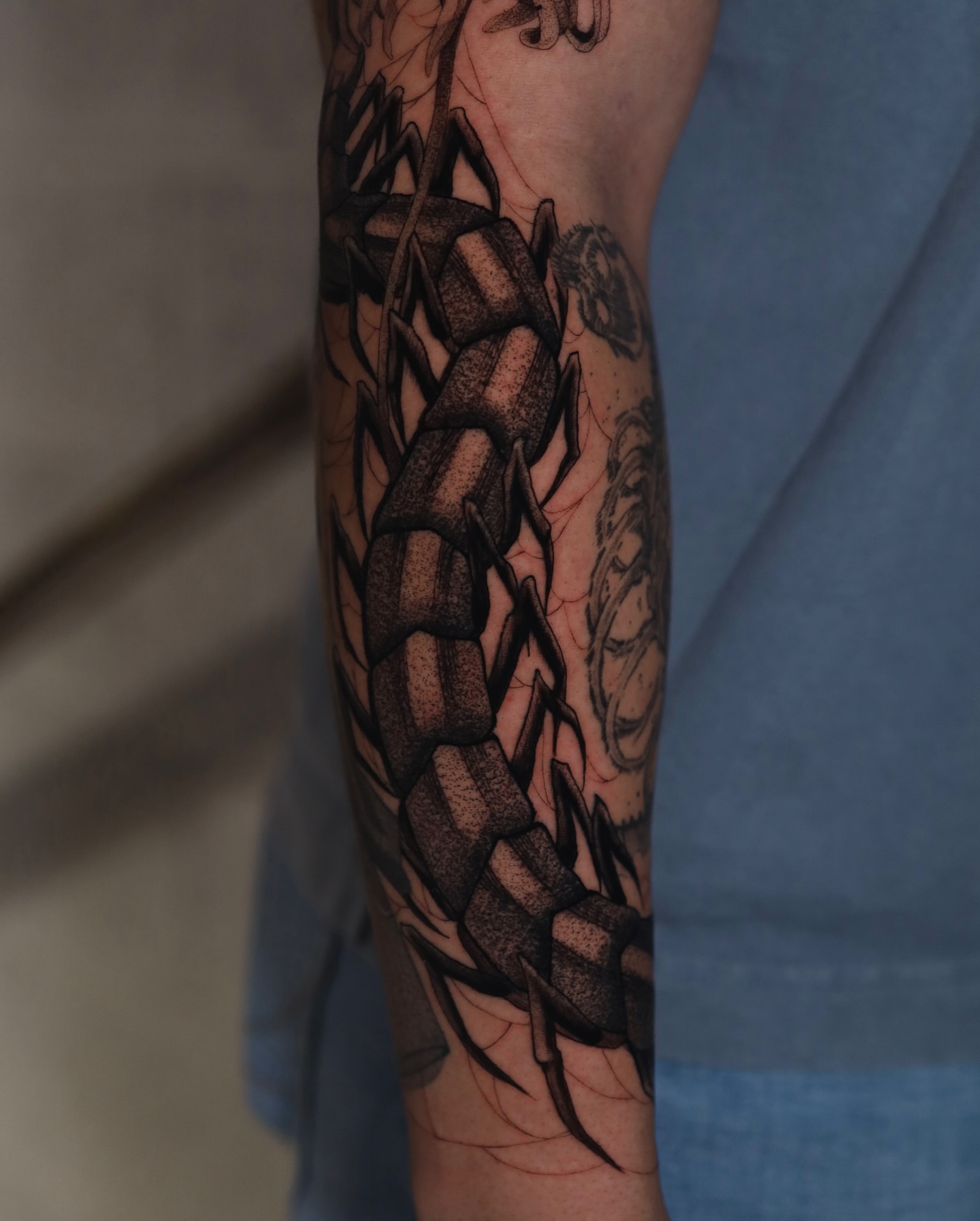 Spine dotwork tattoo on the forearm by Dana, Phoenix, Arizona