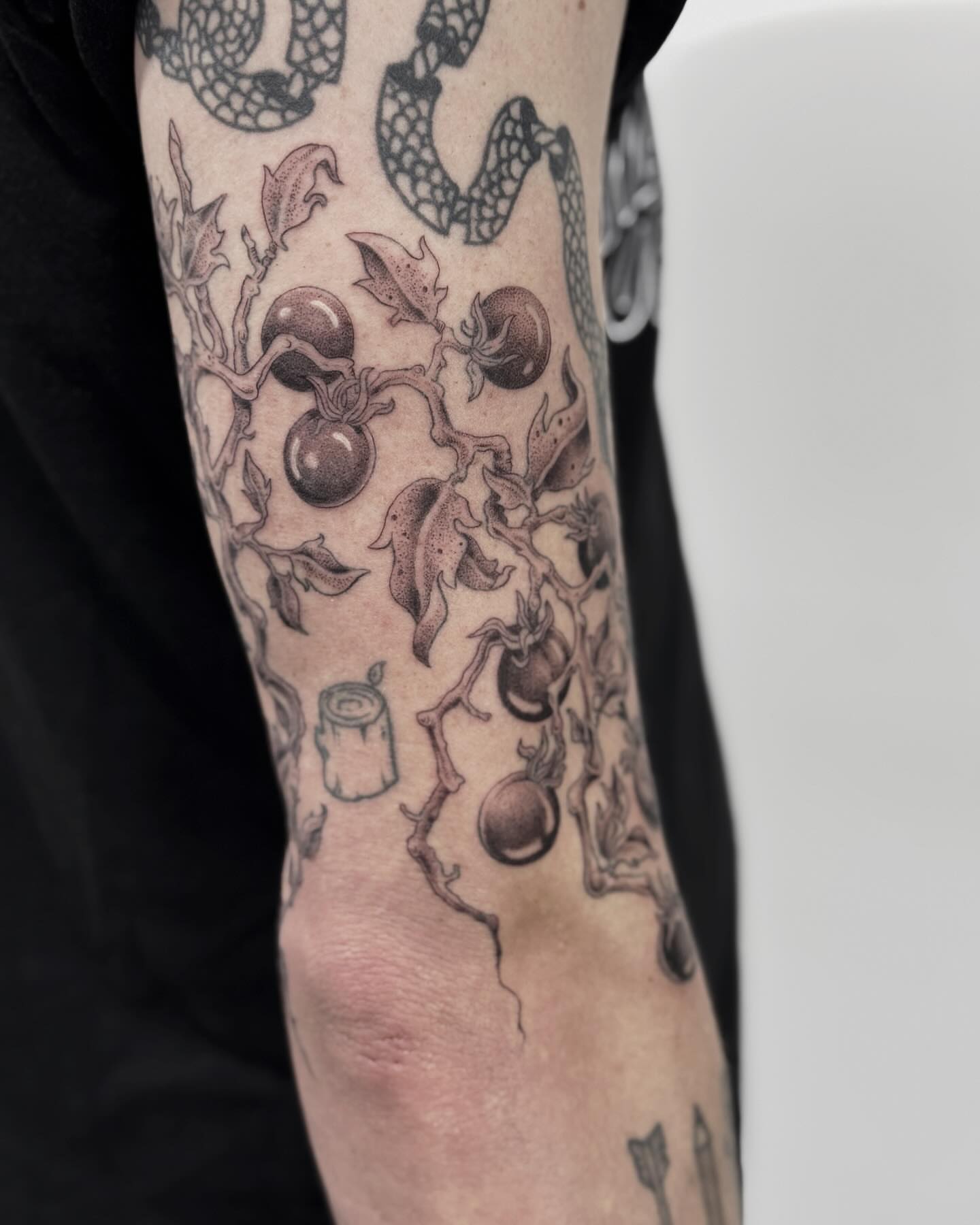 Tomatoes and vines black and grey tattoo on the forearm by Writhe Grey