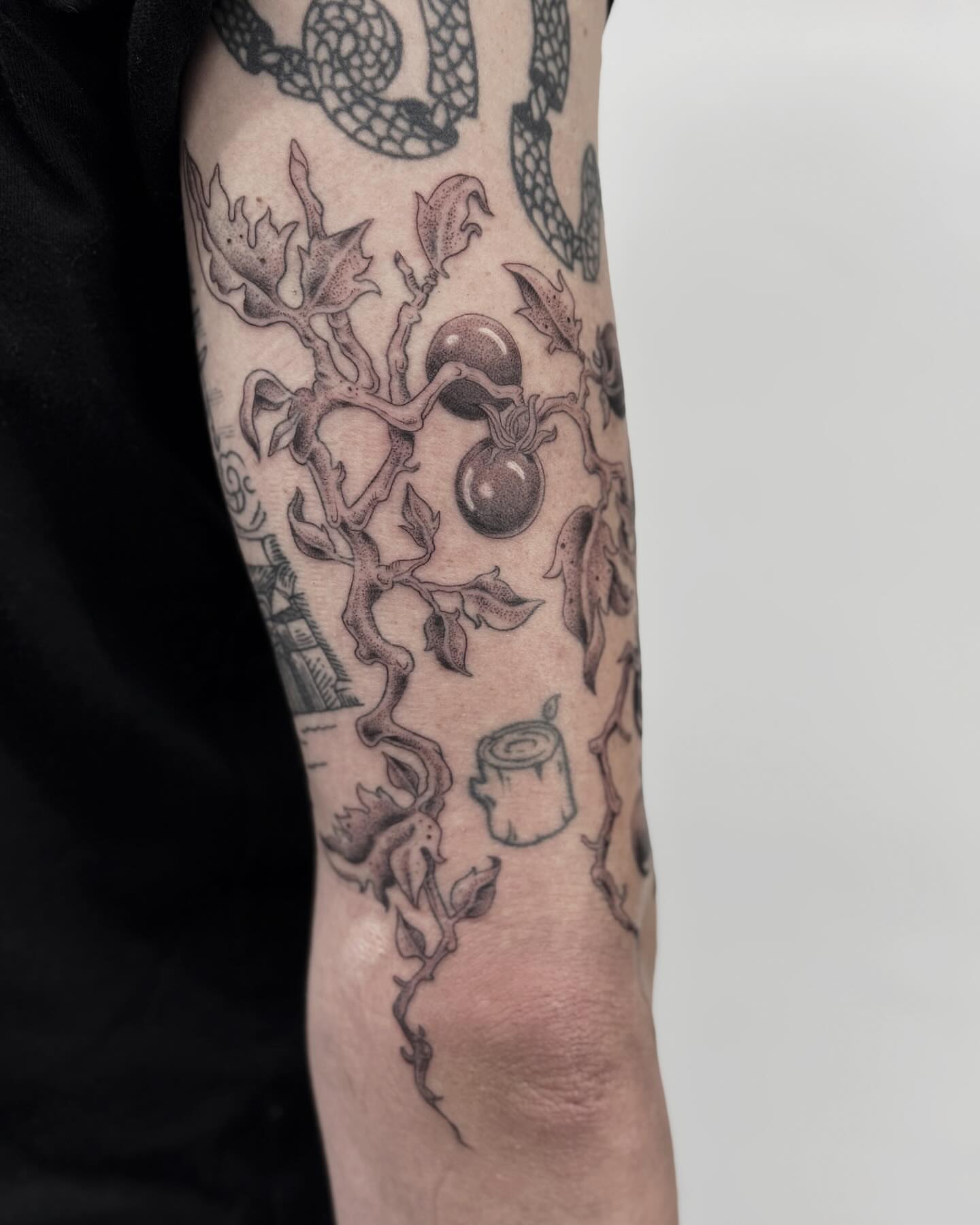 Branch with fruit realism tattoo on the forearm by Writhe Grey