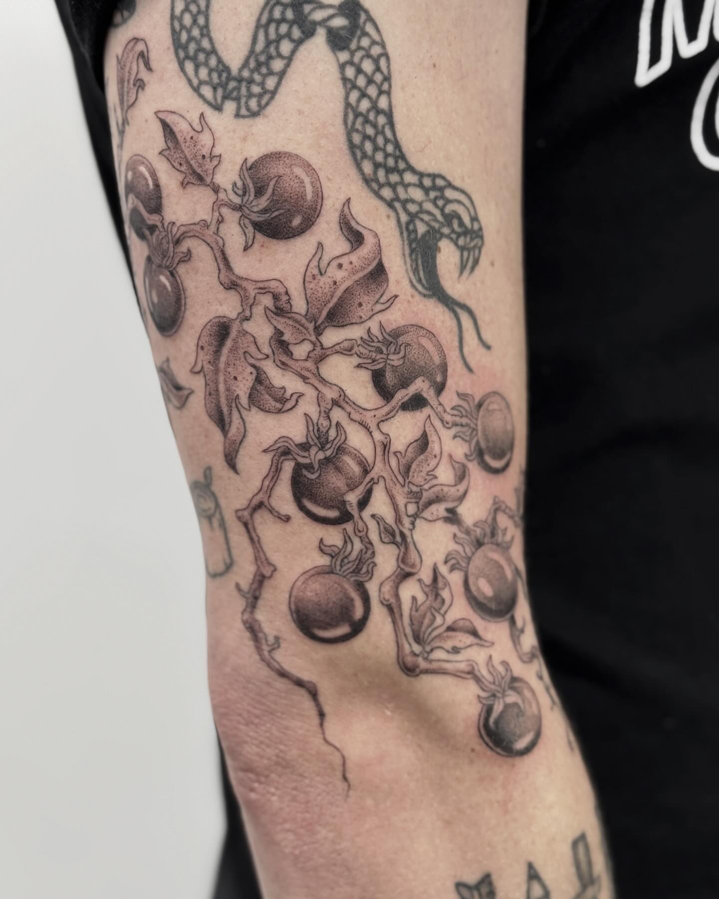 Snake and fruit dotwork tattoo on the forearm by Writhe Grey