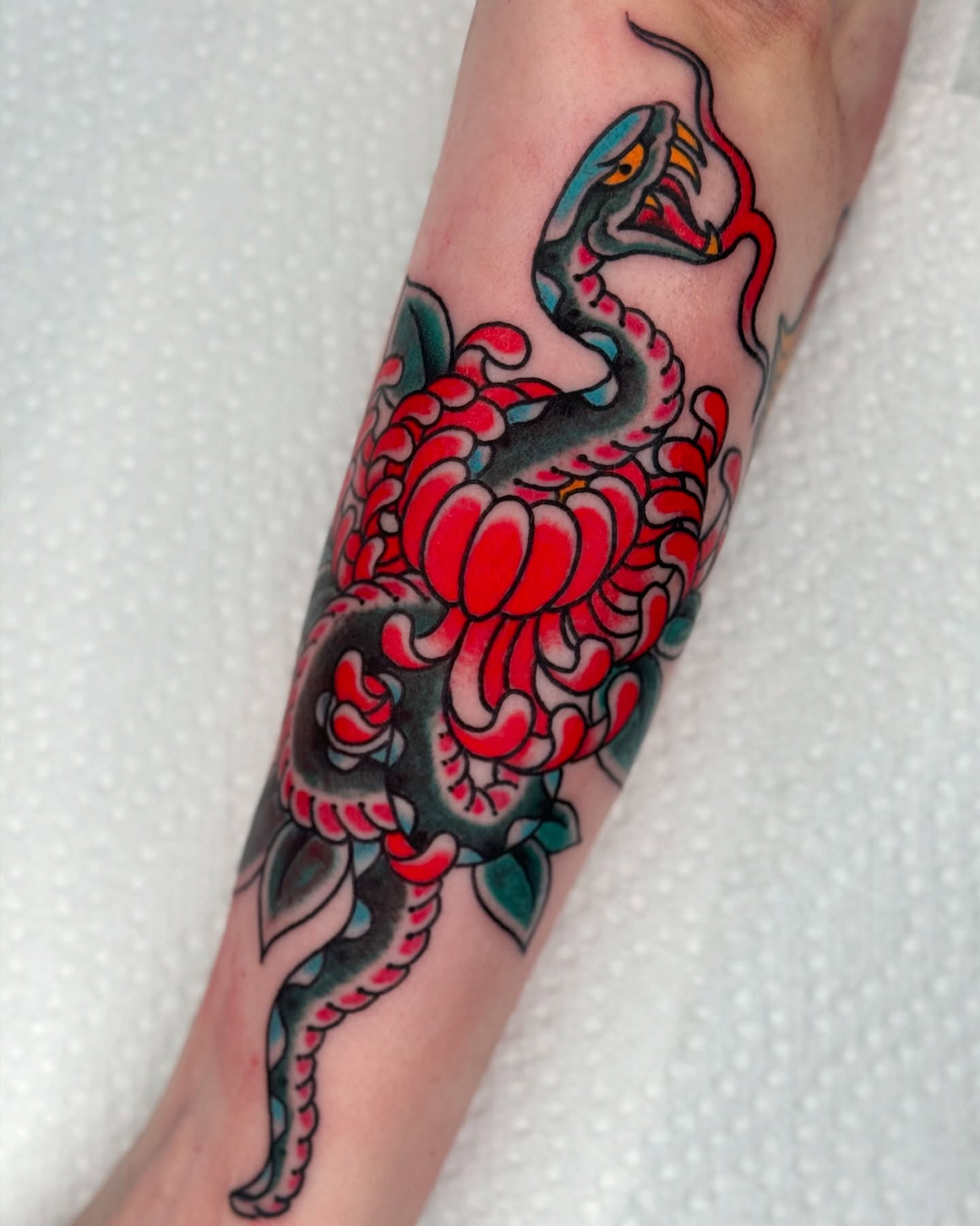 Snake and chrysanthemum American traditional tattoo on the forearm by Domanick Libretti, Nashville, Tennessee