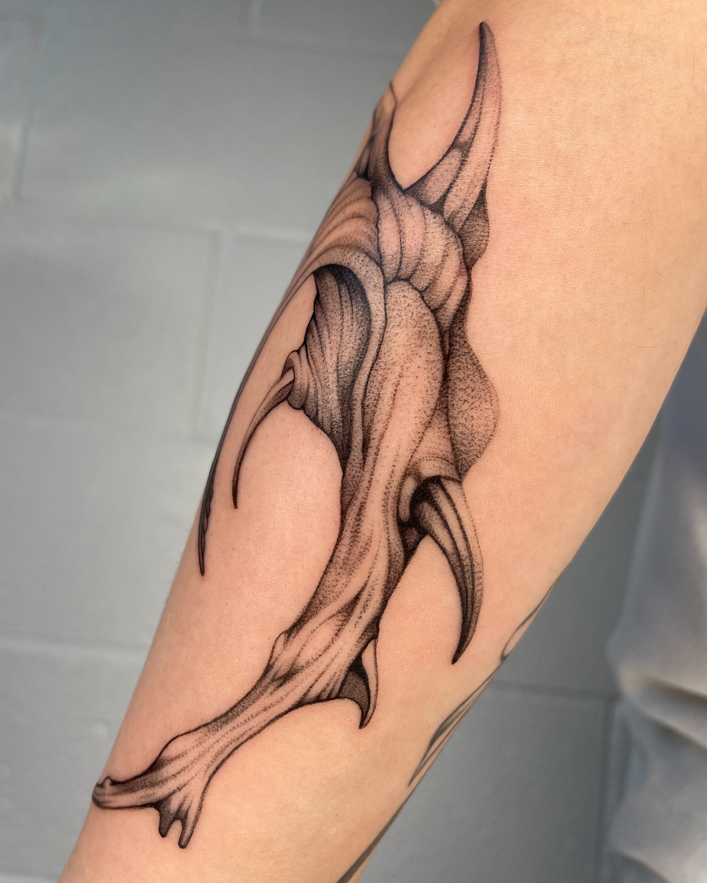 Tattoo by @carolineraer โ dotwork, realism