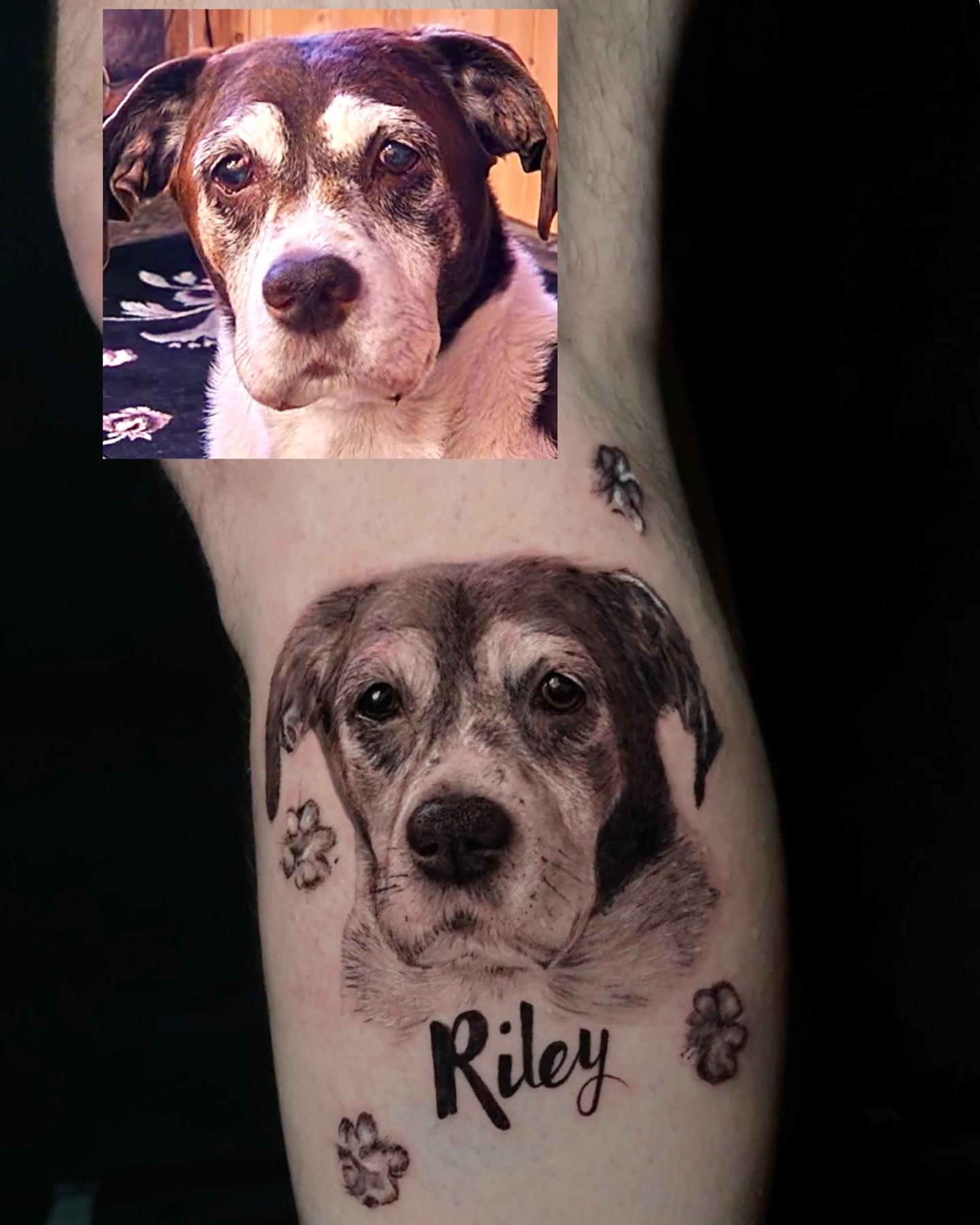 Dog portrait realism tattoo on the forearm by Kris Tattoo Chicago