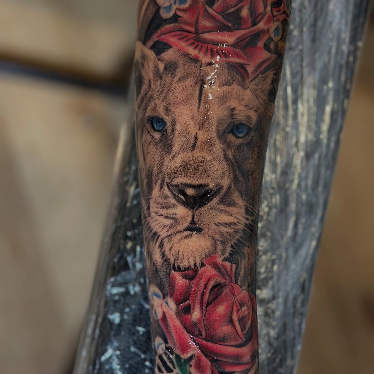 Lion and roses realism tattoo on the forearm by I Am Mawlo! Welcome Fellow Mawlonians