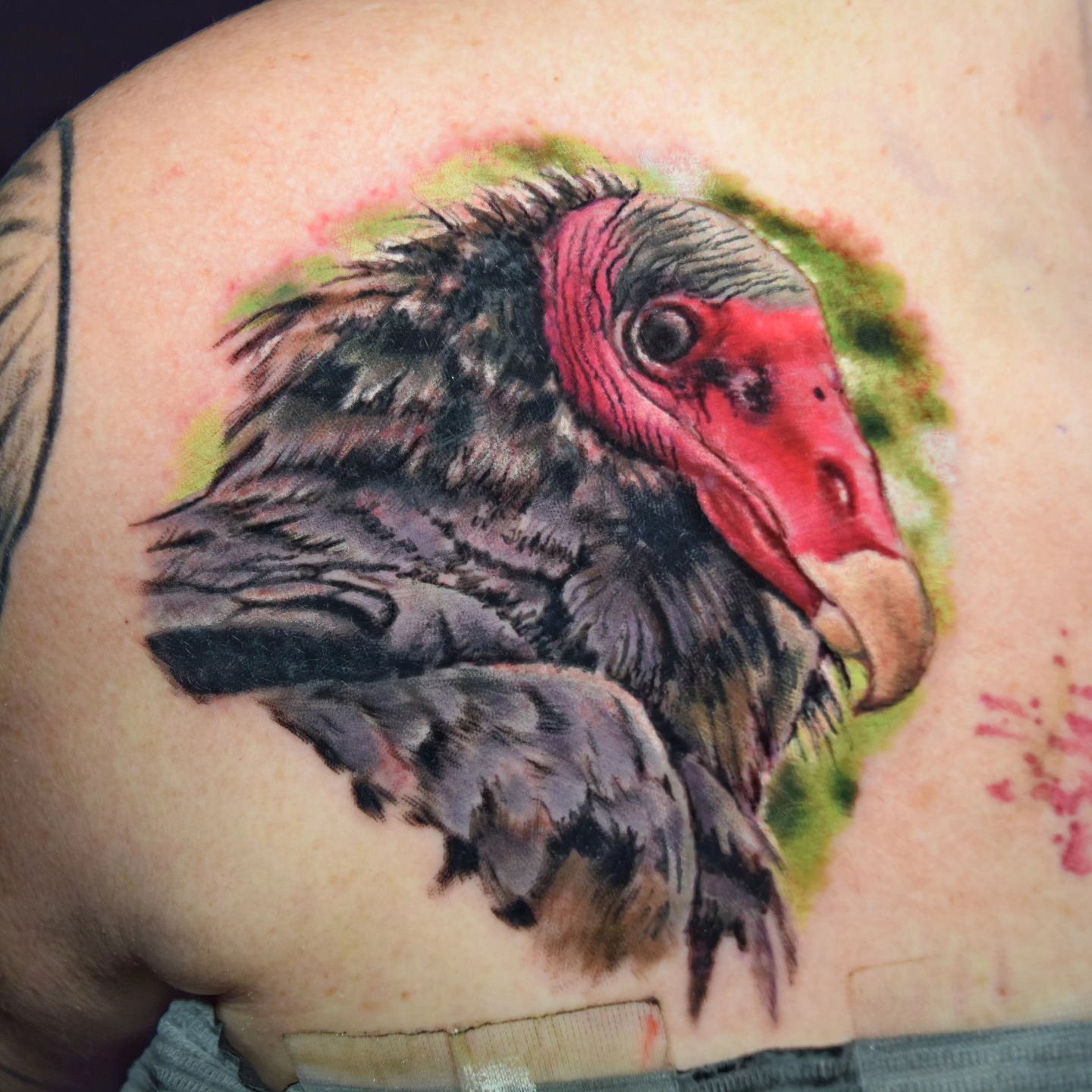 Tattoo by @bruceriehlart — realism