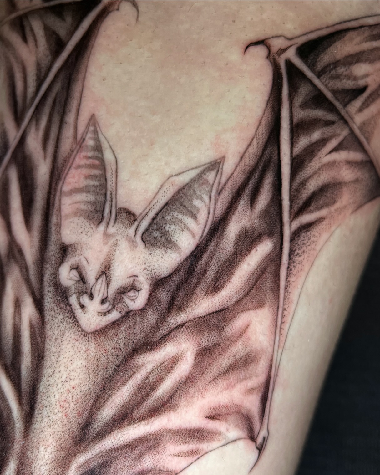 Bat dotwork tattoo on the forearm by Samantha