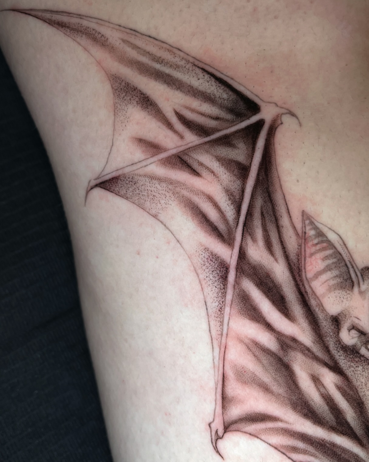 Tattoo by @smq_tattoo — dotwork, realism