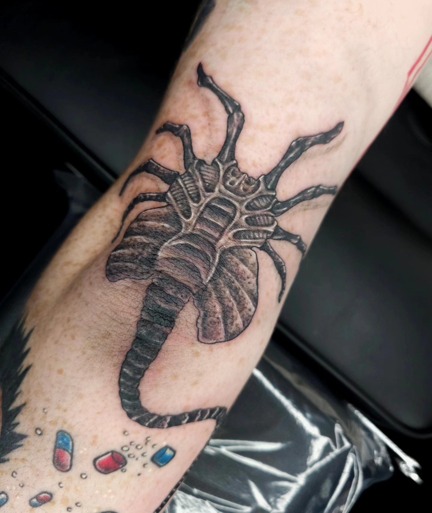 Scorpion black and grey tattoo on the forearm by Devan Vankirk