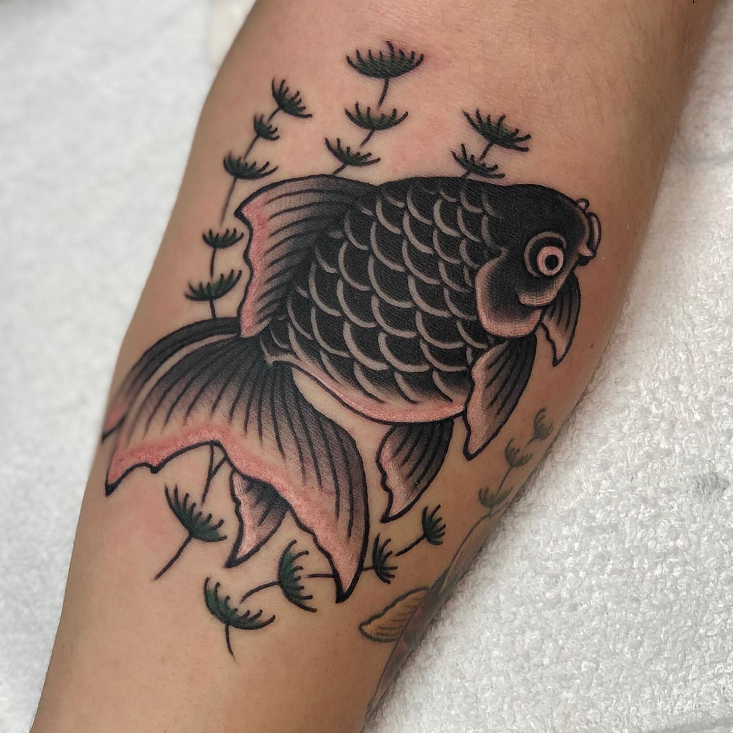 Koi fish American traditional tattoo on the forearm by Matt Klass