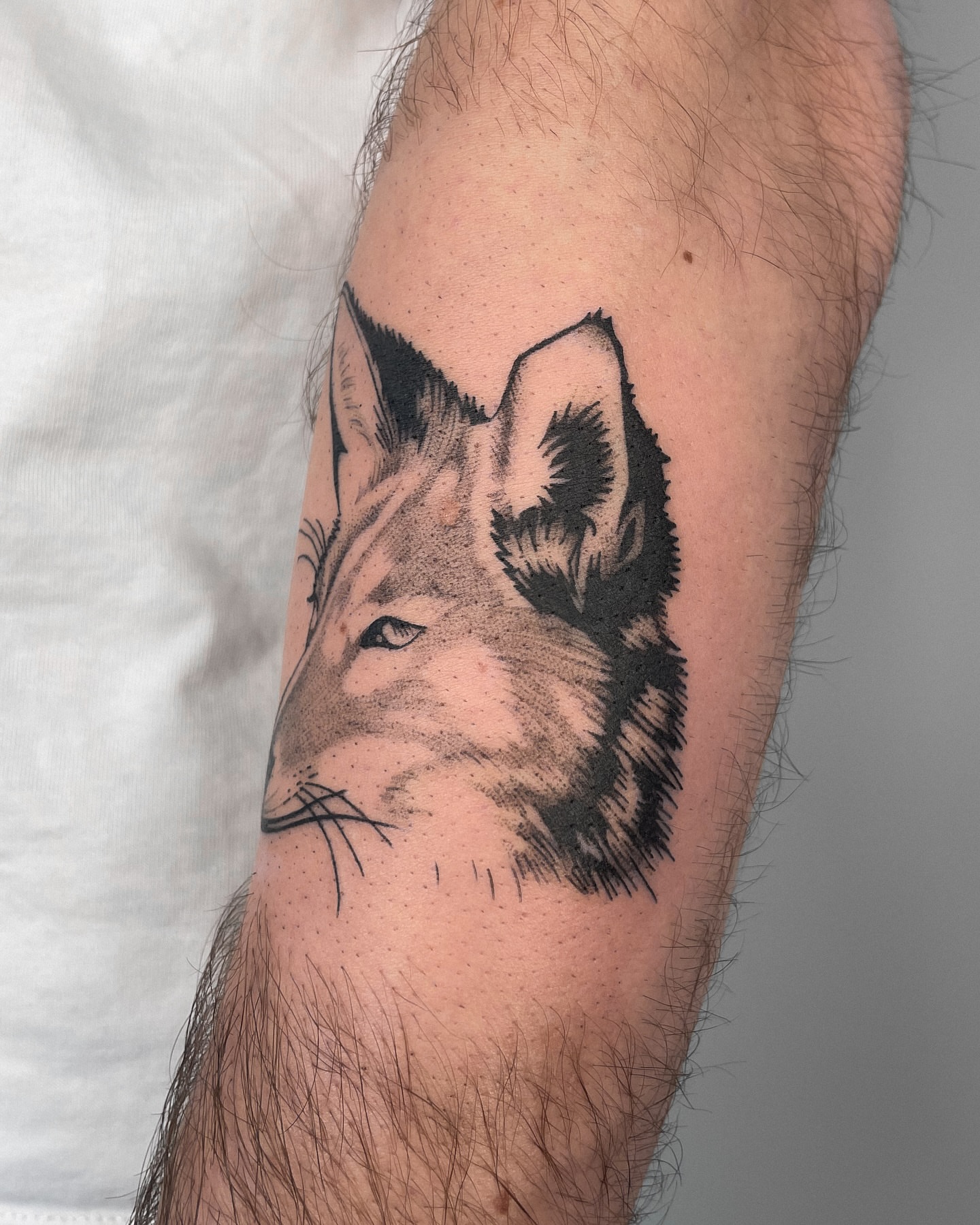 Tattoo by @manuel.dinstruction — dotwork, realism