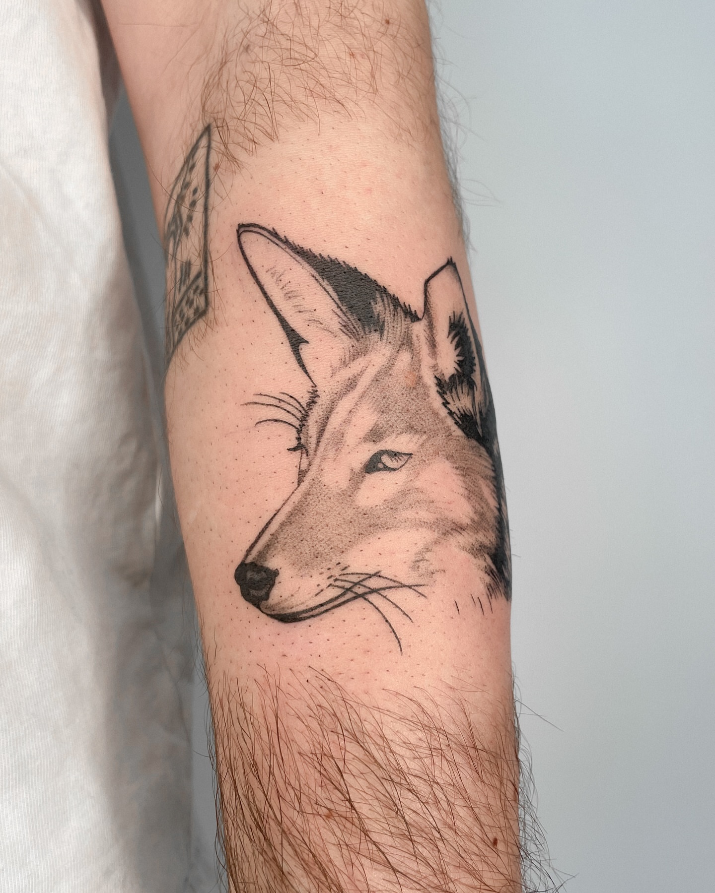 Tattoo by @manuel.dinstruction — dotwork, realism