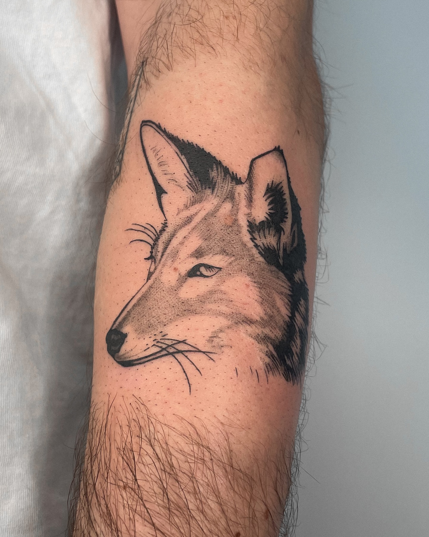 Tattoo by @manuel.dinstruction — dotwork, realism