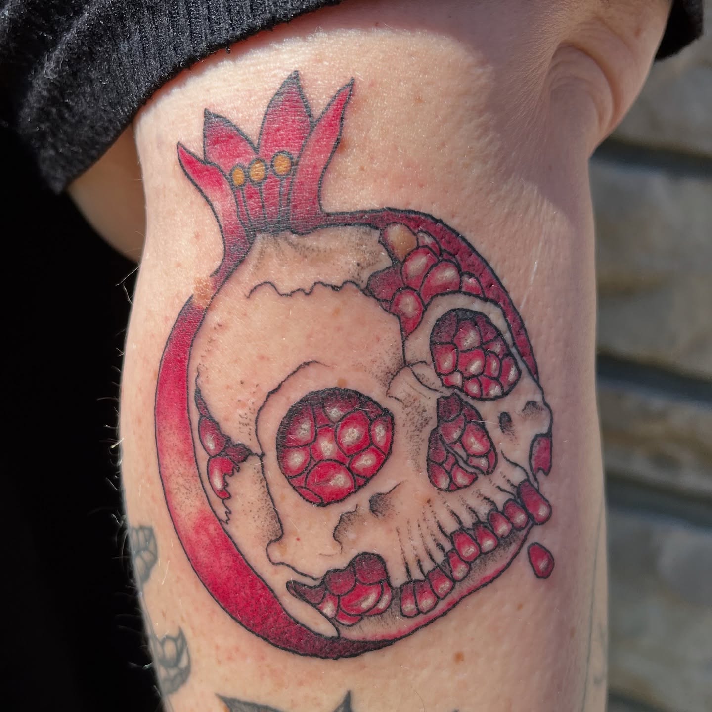 Pomegranate skull neo-traditional tattoo on the forearm by Tina Petrullo, West Chester Township, Butler County, Ohio