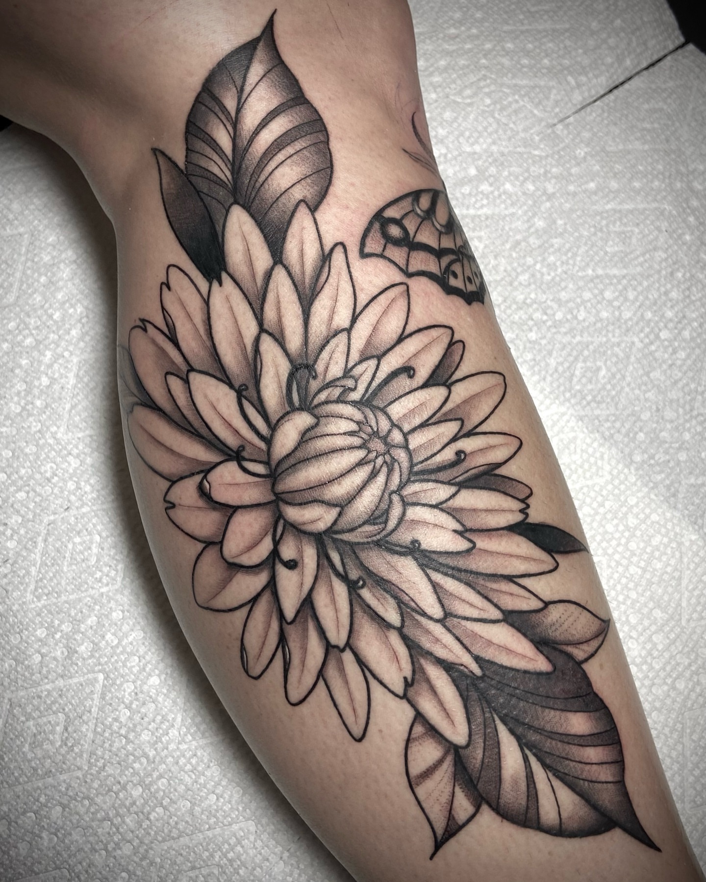 Tattoo by @byrd_tattoos — black_and_grey