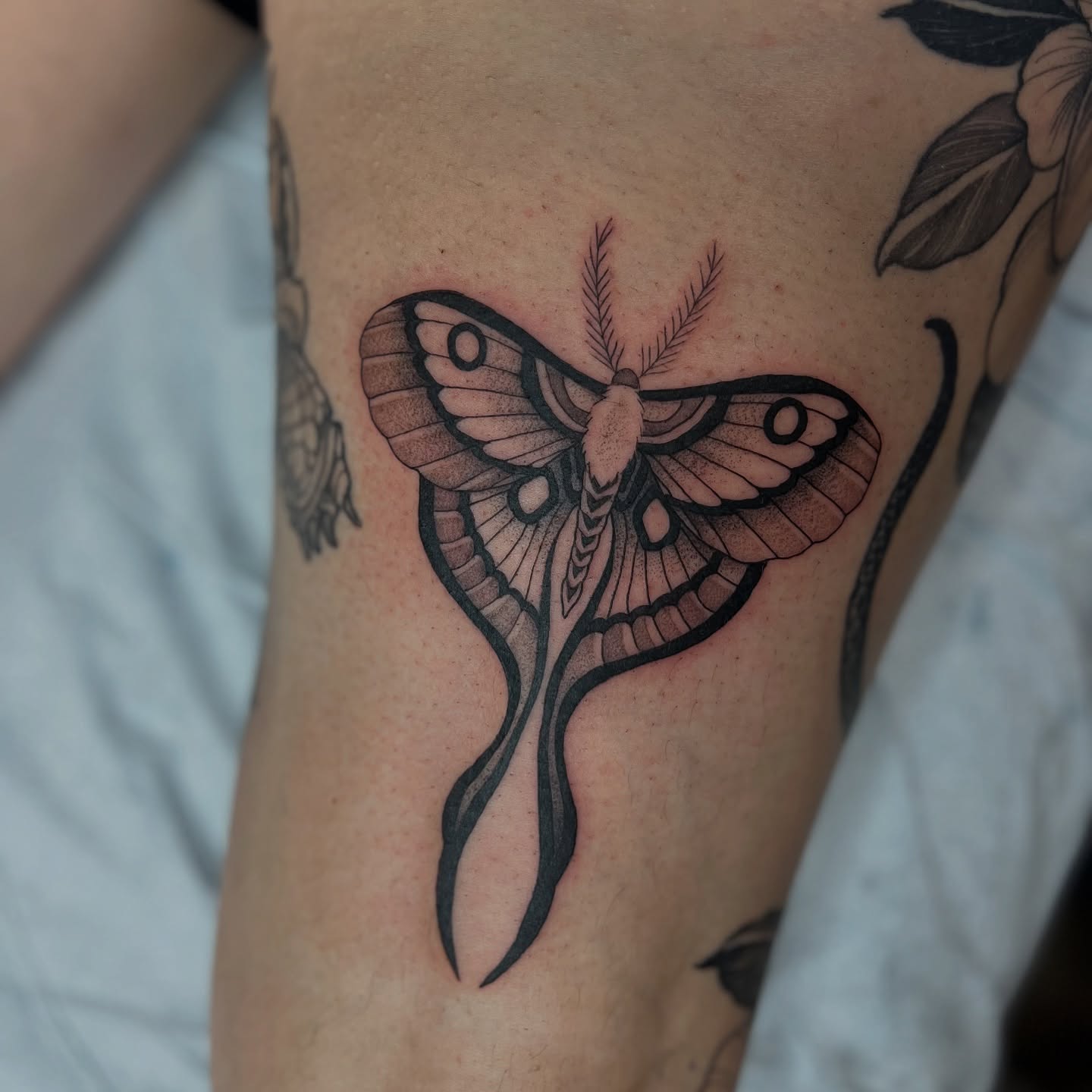 Tattoo by @miketa_tattoo — black_and_grey