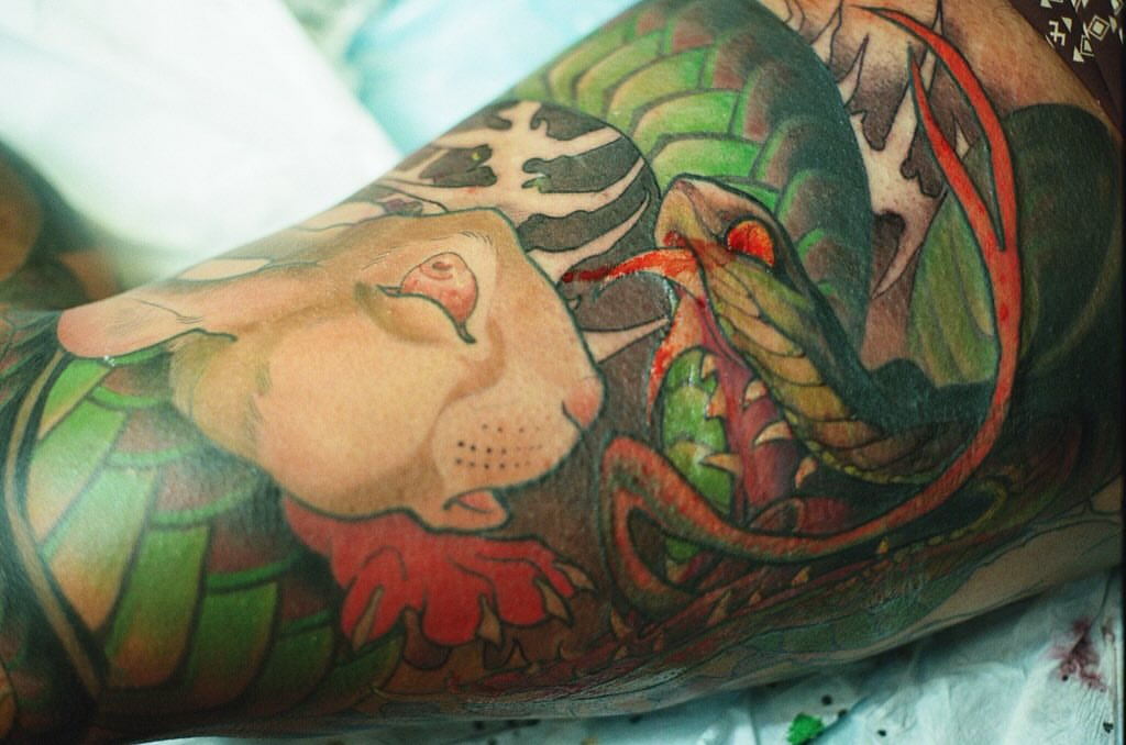 Lion and dragon realism tattoo on the forearm by Andi Fitz ✨ San Diego Tattoo Artist, San Diego, California