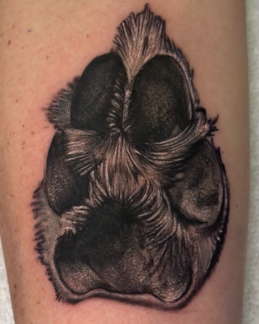 Tattoo by @josh.d.anderson — black_and_grey, realism
