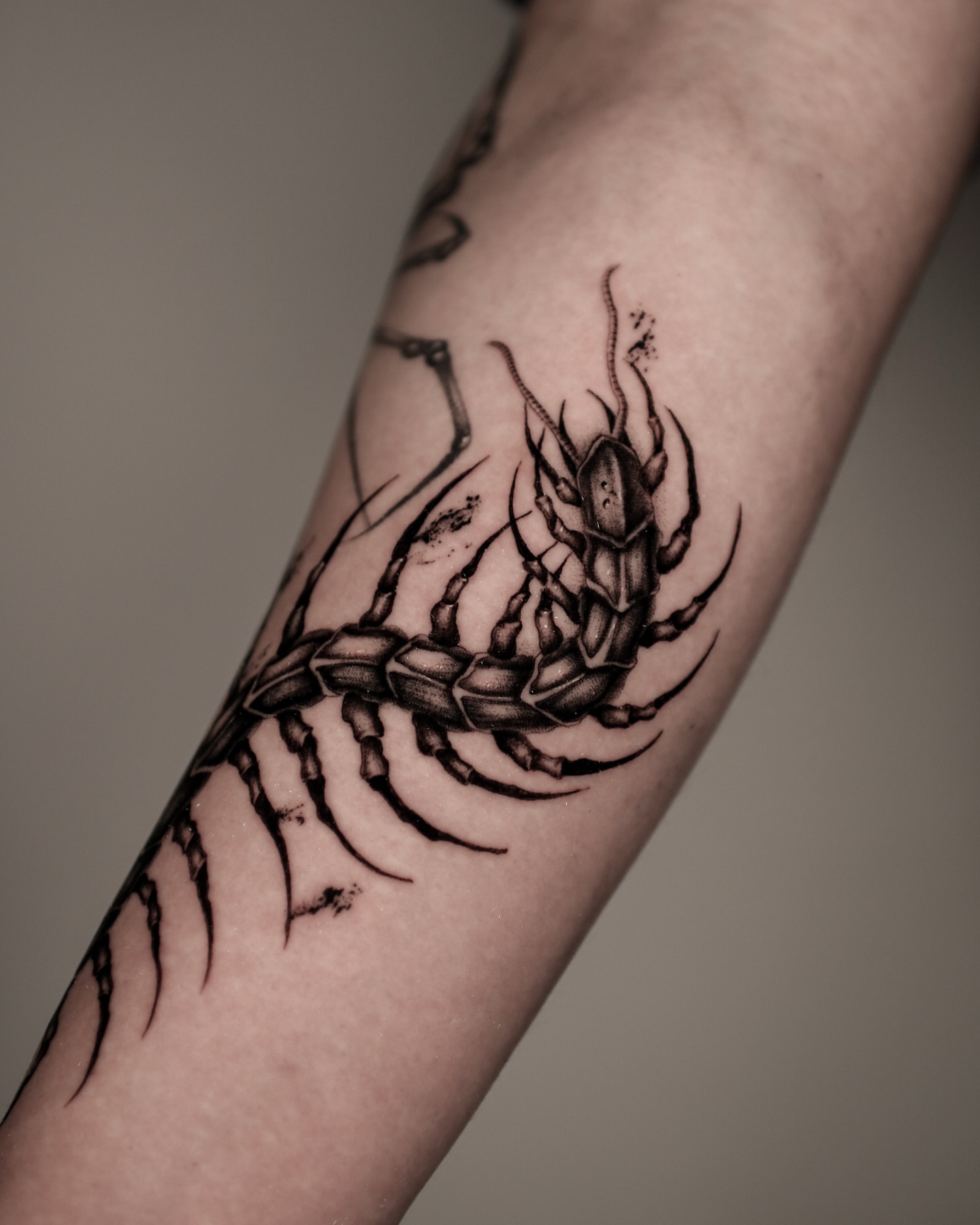 Tattoo by @minblackwork β black_and_grey