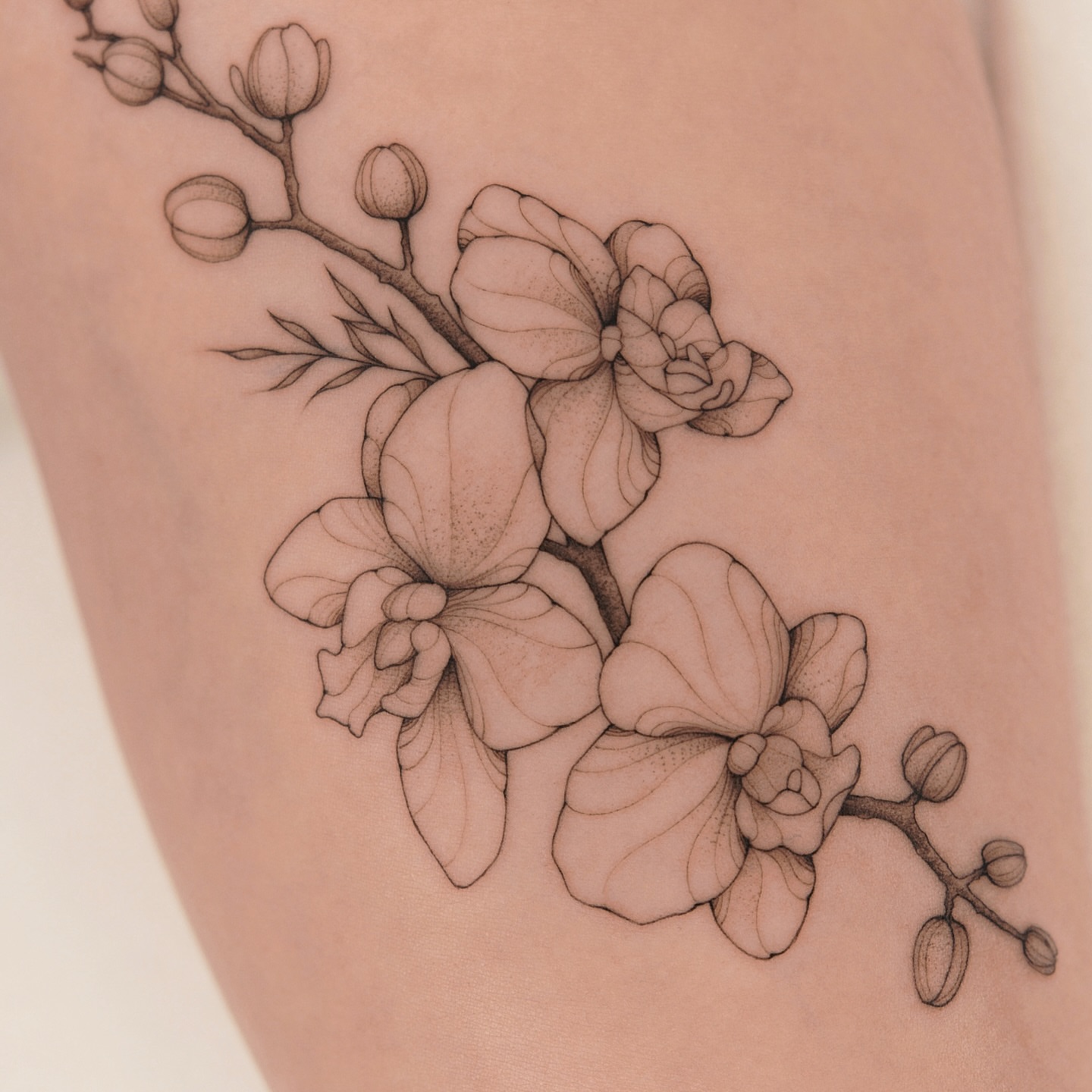 Orchid blossoms black and grey tattoo on the thigh by Houston Tattoo Artist