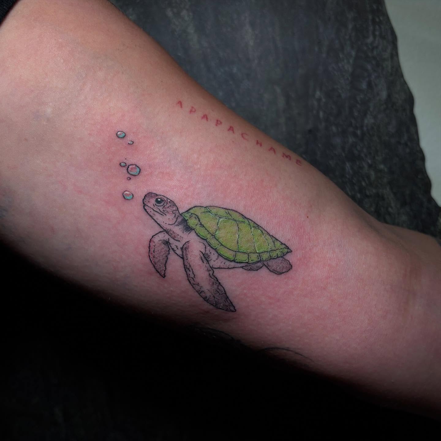 Sea turtle realism tattoo on the forearm by Shampooh
