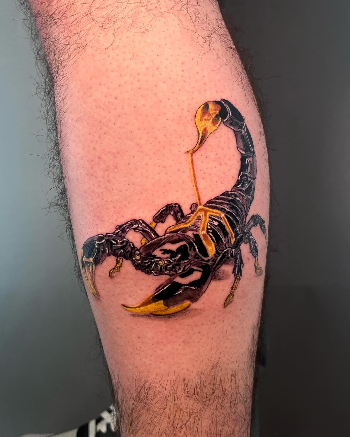 Scorpion realism tattoo on the forearm by Anthony “Jiinky” Quintanilla 🧸☁️