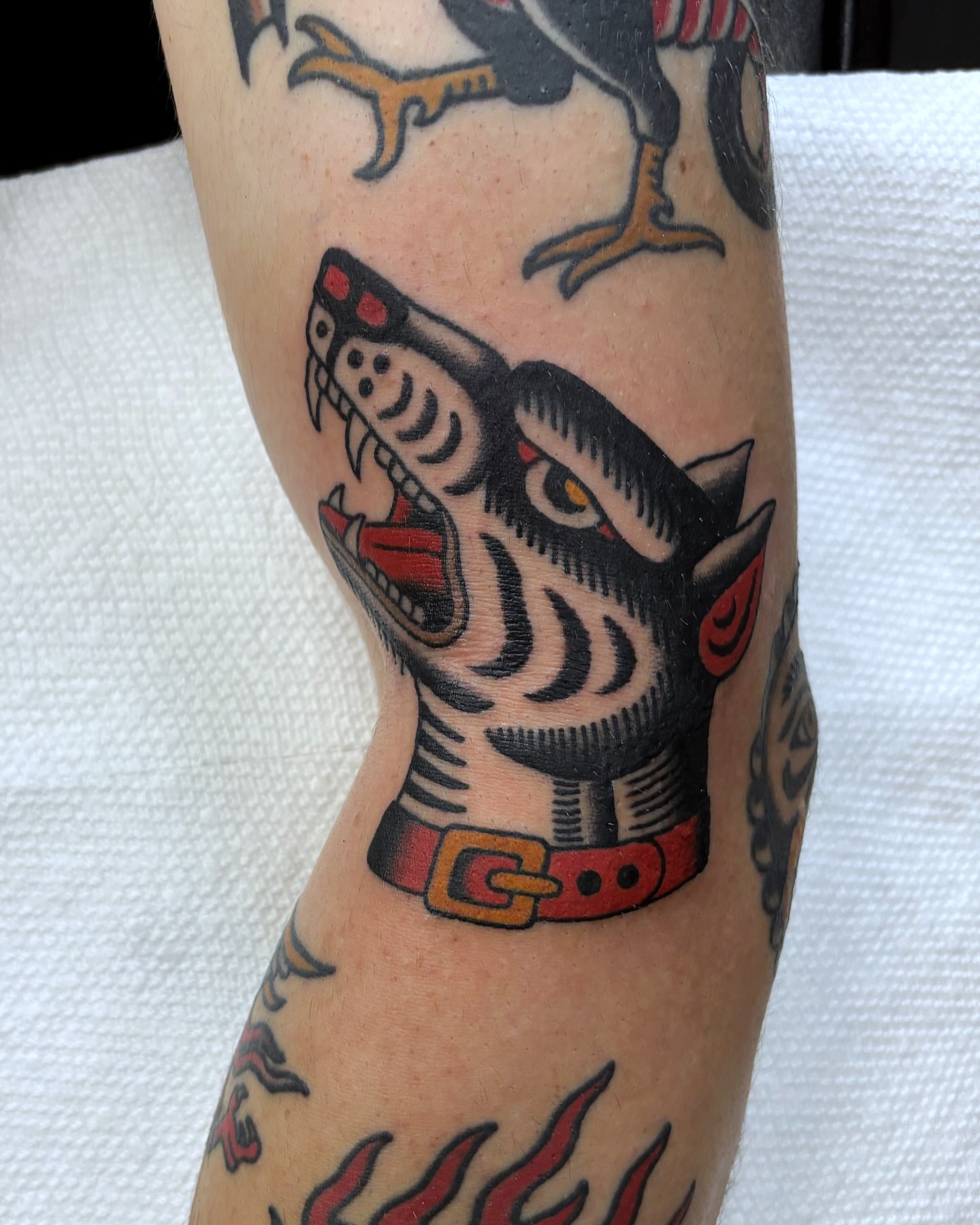 Wolf head American traditional tattoo on the forearm by Ben Fiedler