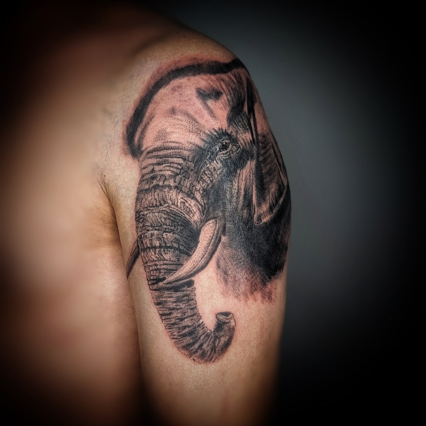 Tattoo by @baris.tattoos — realism