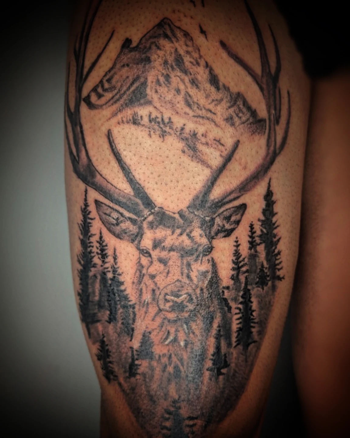 Tattoo by @baris.tattoos — dotwork, realism