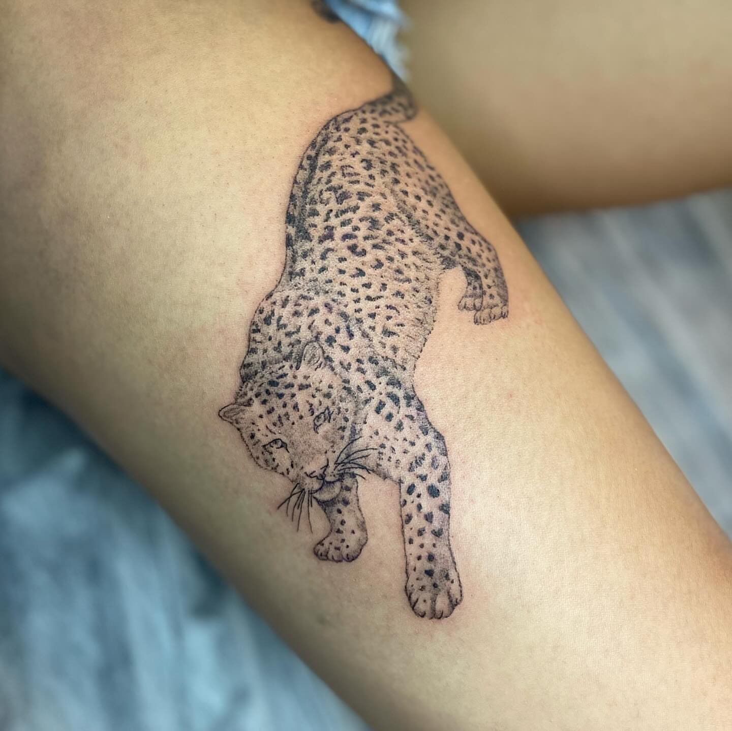 Leopard dotwork tattoo on the forearm by Maddy ⁂, Murfreesboro, Tennessee