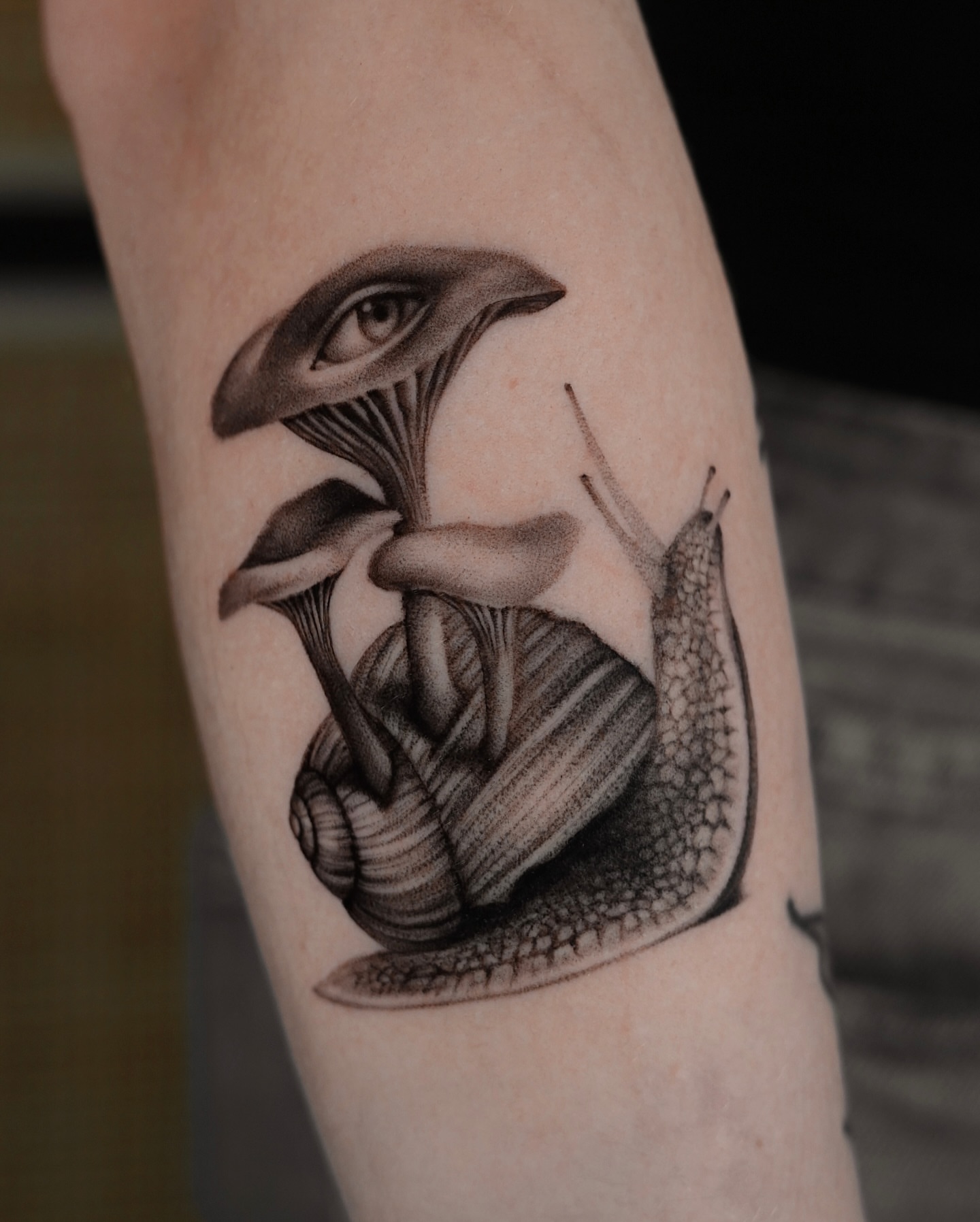 Snail and mushroom realism tattoo on the forearm by hiba ⊹ atlanta tattoo artist, Johns Creek, Georgia