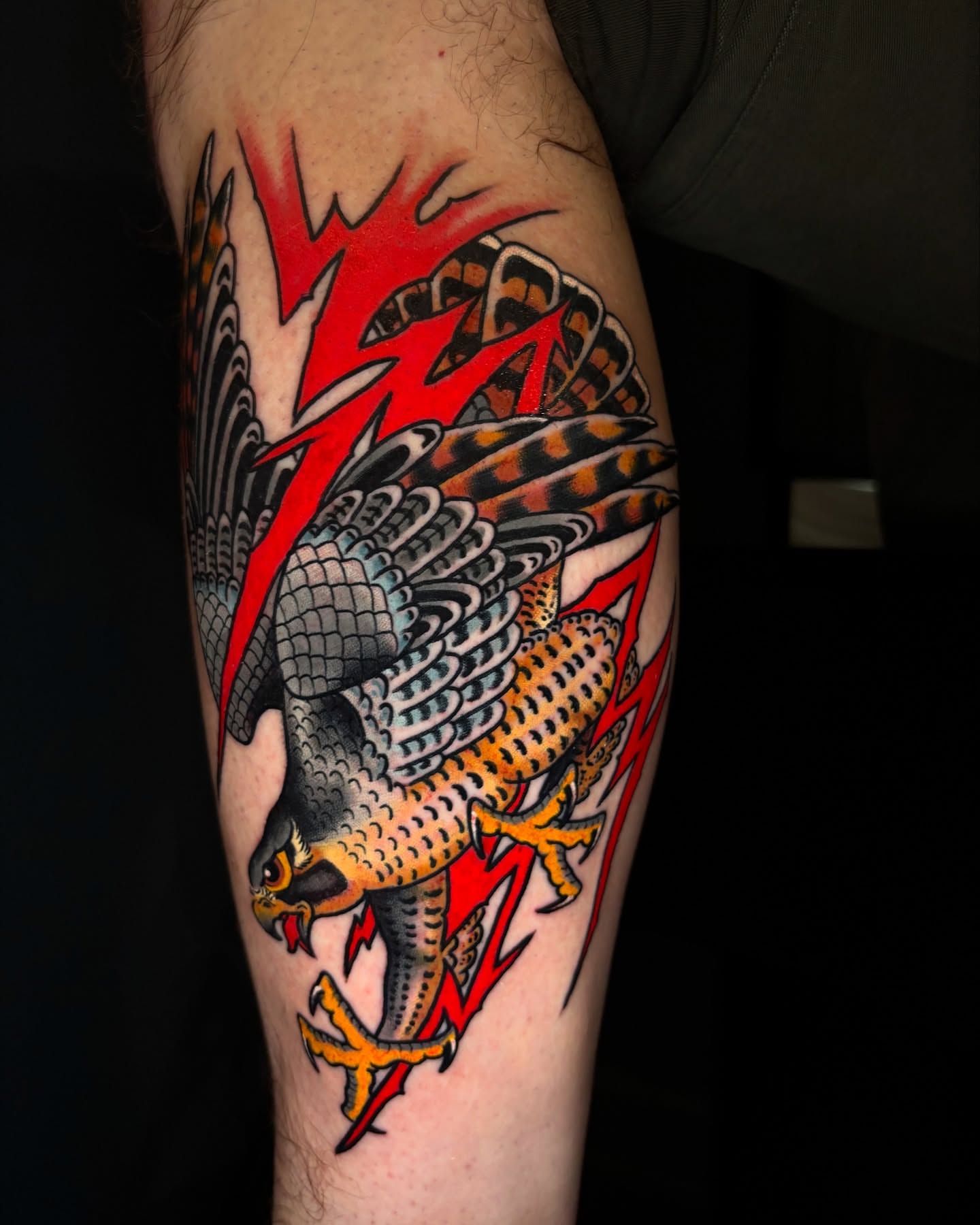 Hawk American traditional tattoo on the forearm by Mike Maciejewski:Chicago Tattoo Artist