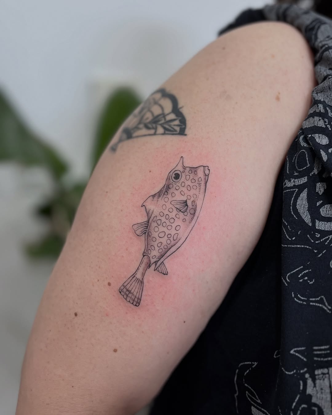 Tattoo by @crispyorchids — fine_line, illustrative