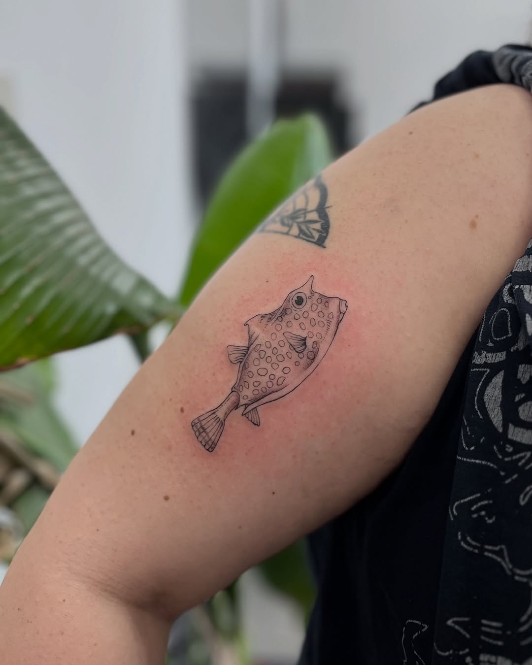 Tattoo by @crispyorchids — fine_line, illustrative