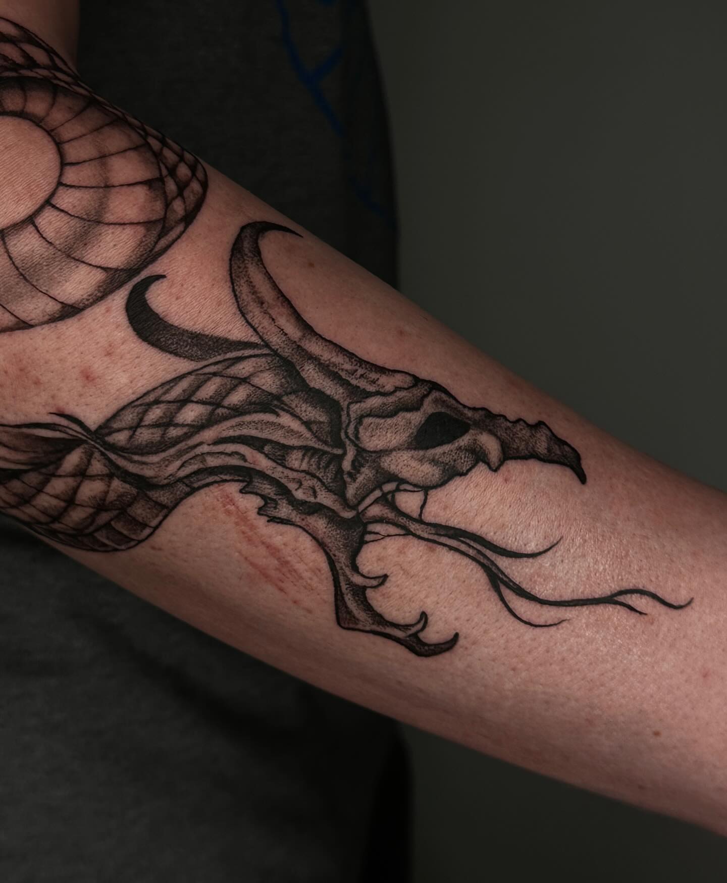 Dragon realism tattoo on the forearm by A L e X
