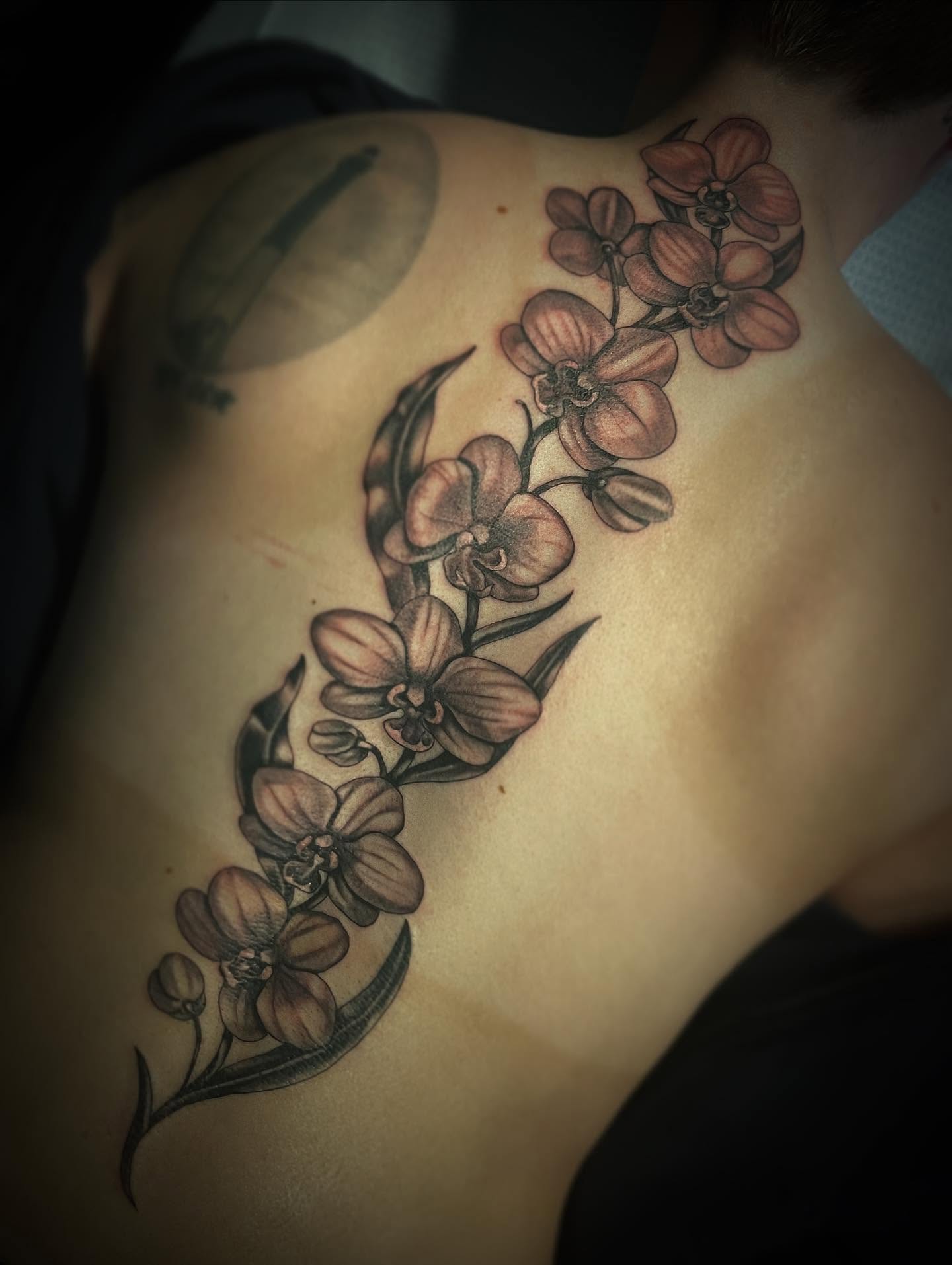 Orchid flowers black and grey tattoo on the back by Jacob Finelli