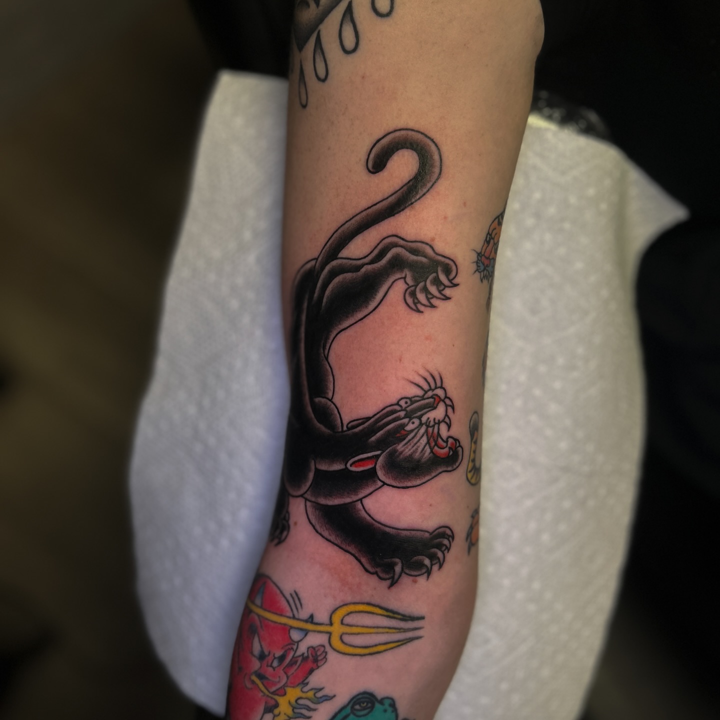 Cat American traditional tattoo on the forearm by Preston-NJ Tattoo Artist