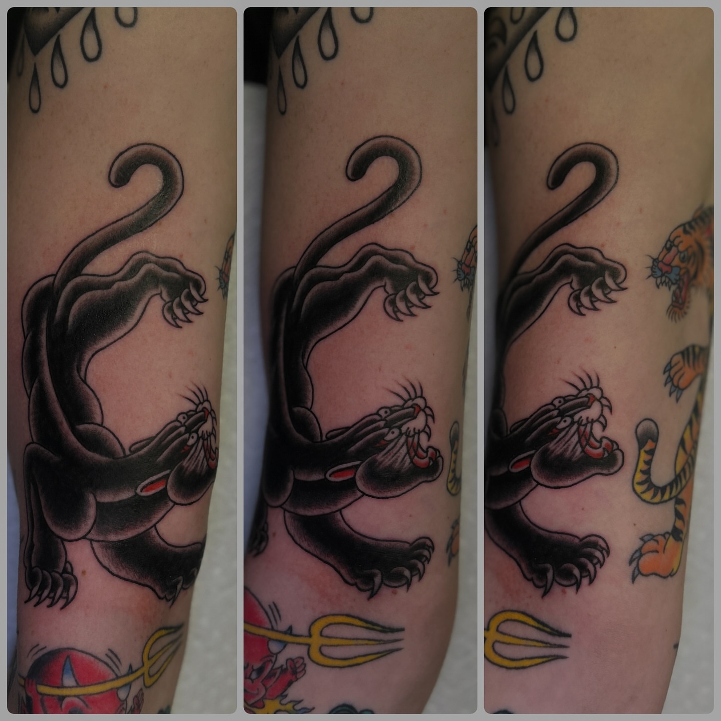 Panther American traditional tattoo on the forearm by Preston-NJ Tattoo Artist