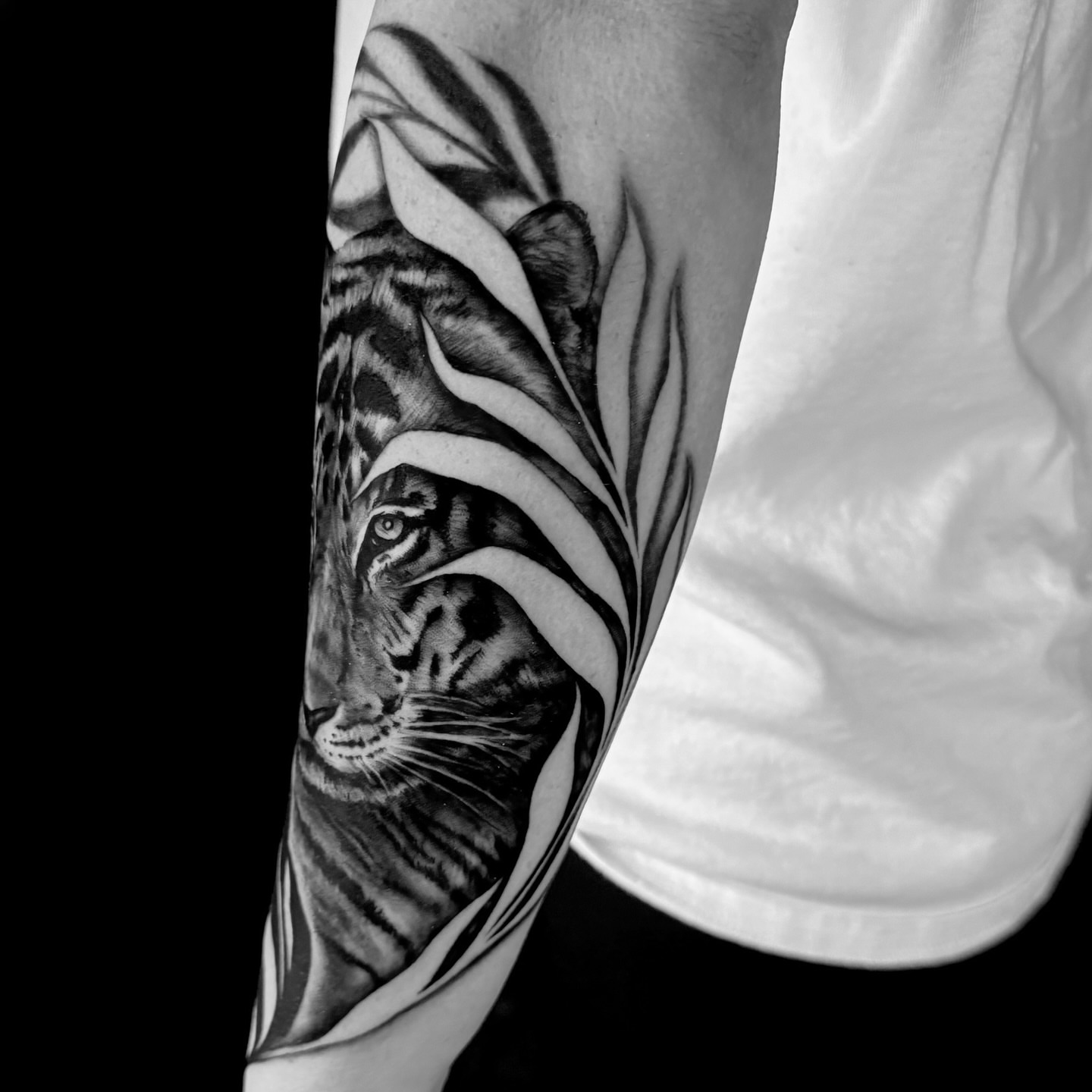 Tiger realism tattoo on the forearm by Emily Conner