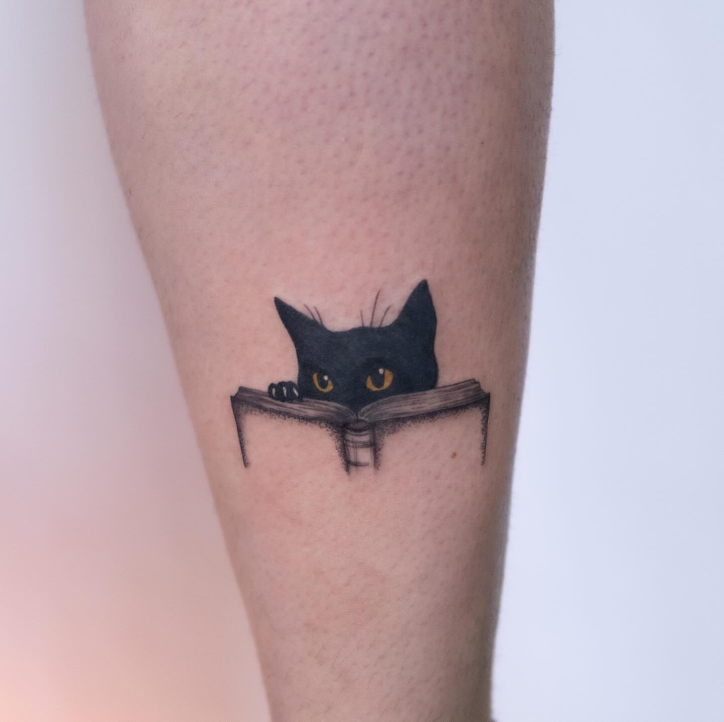 Cat reading book realism tattoo on the forearm by Seraphim